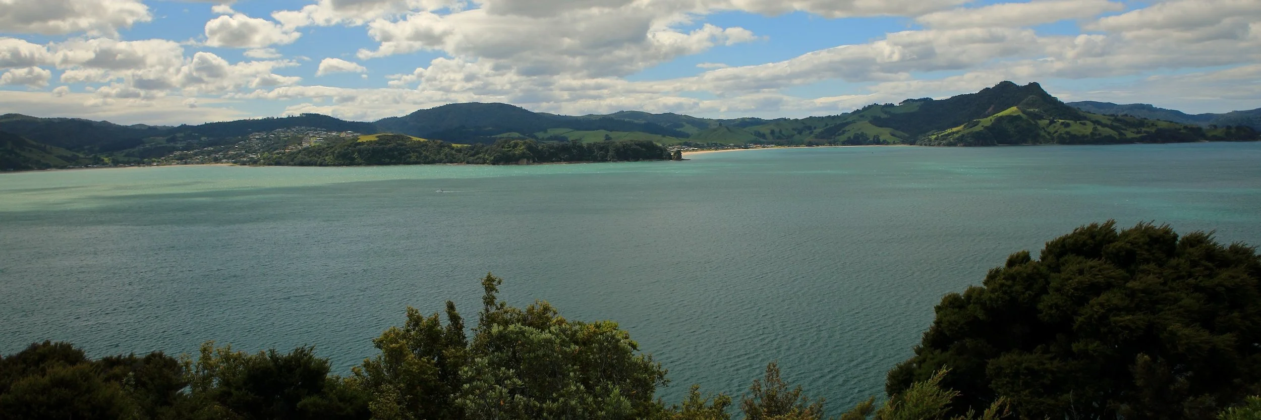 Mercury Bay,-150.JPG