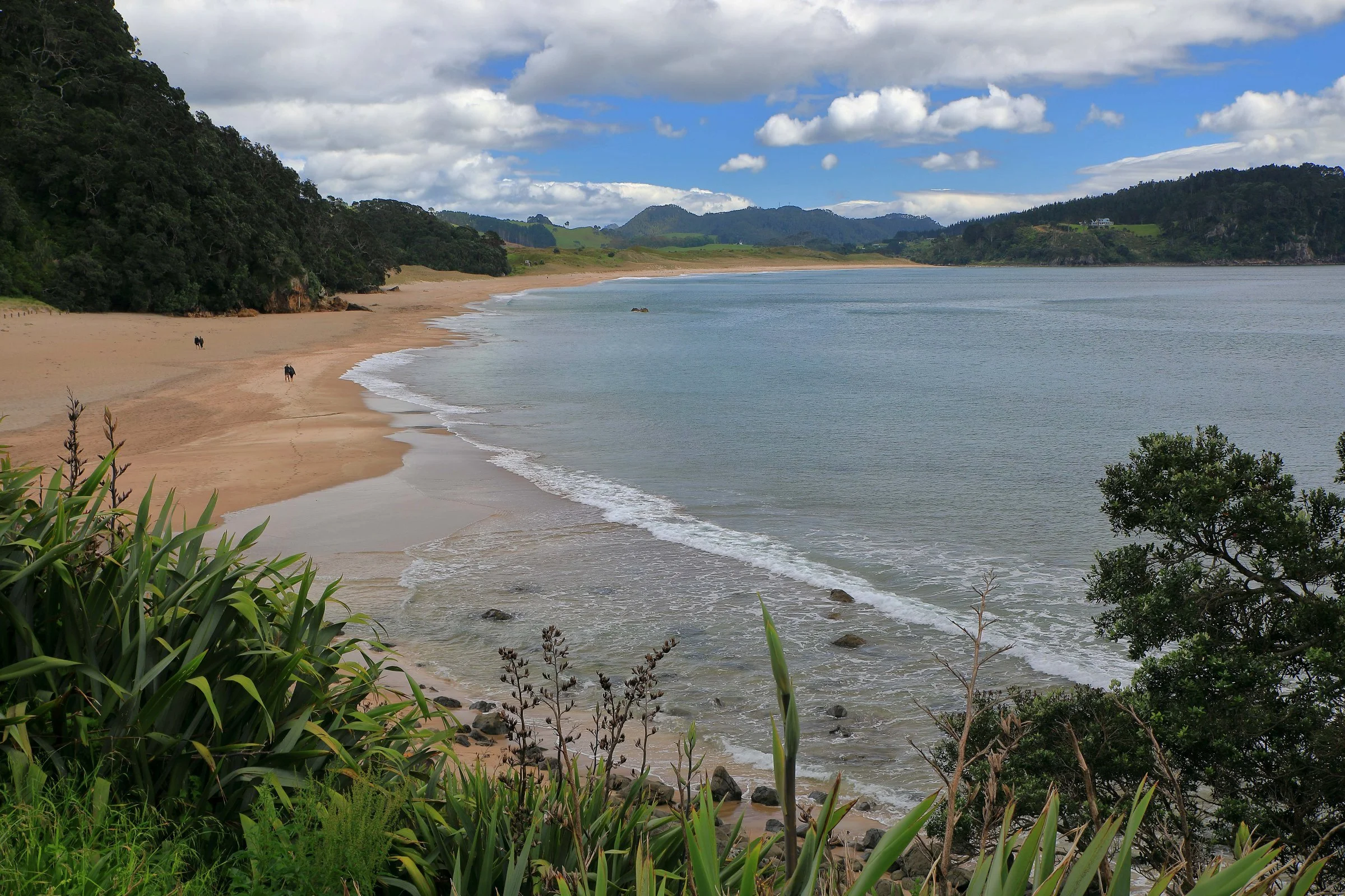 Hot Water Beach,-106.JPG