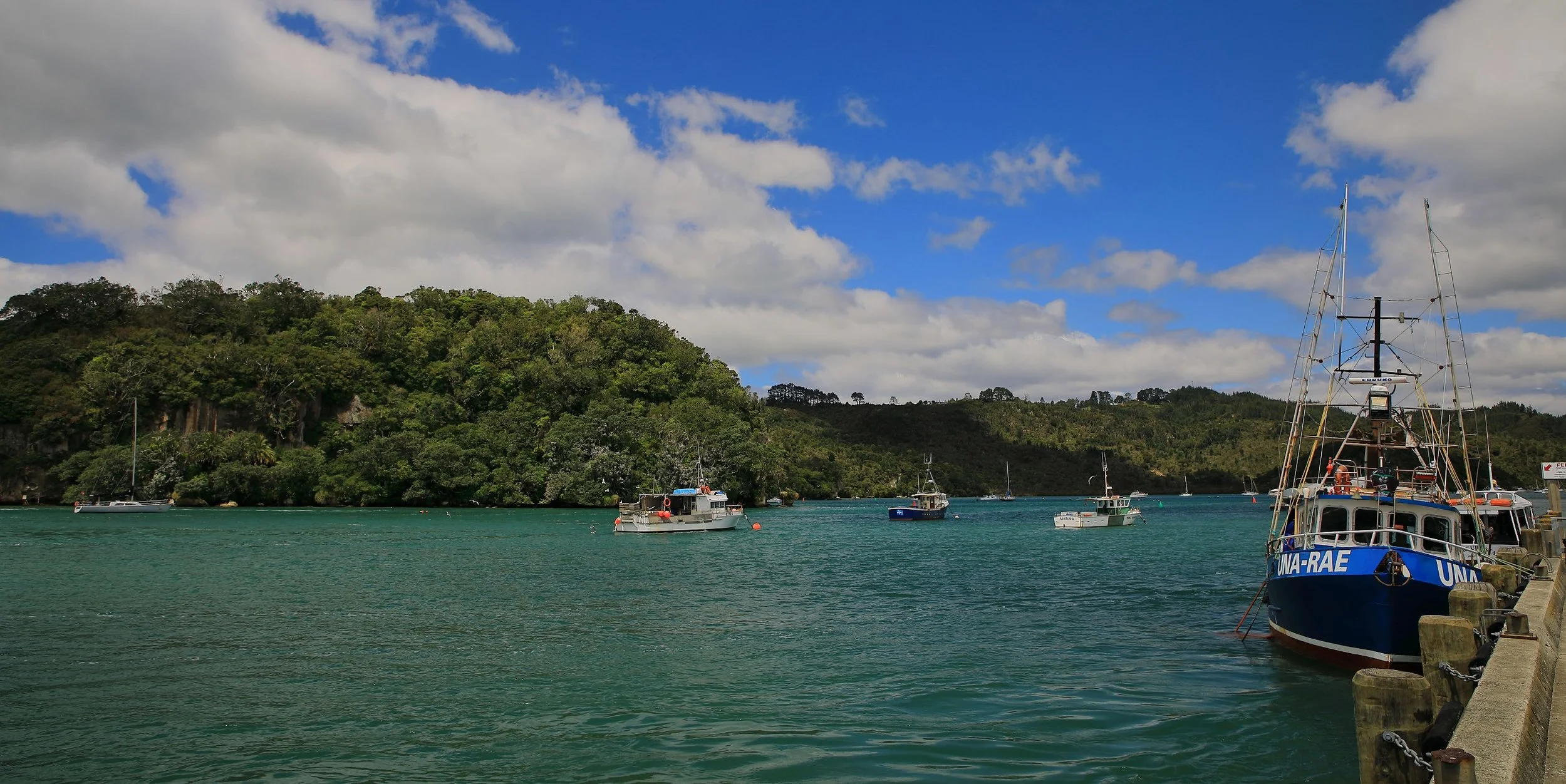 Whitianga,-128.JPG