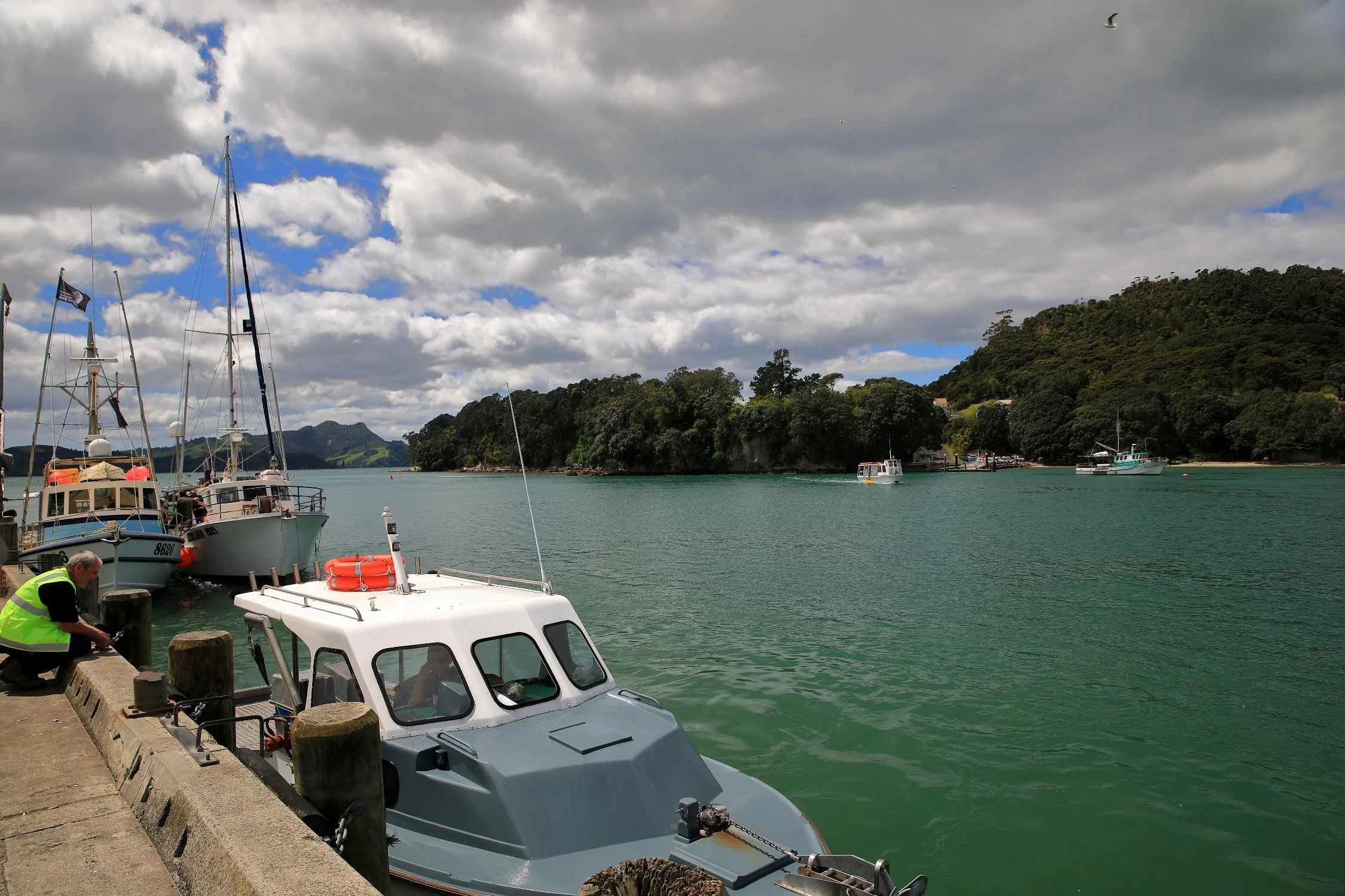 Whitianga,-143.JPG