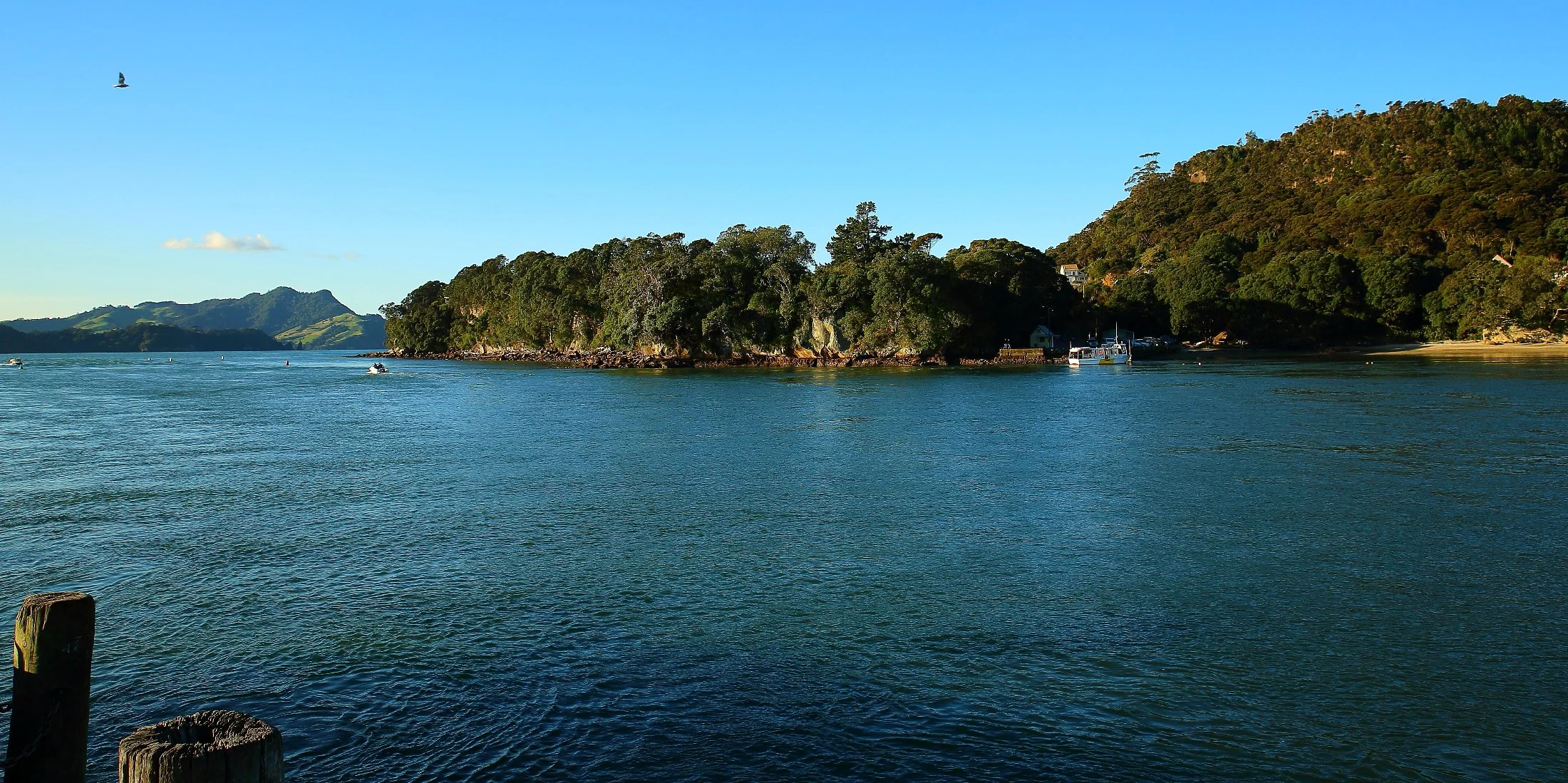 Whitianga,d029,-.jpg