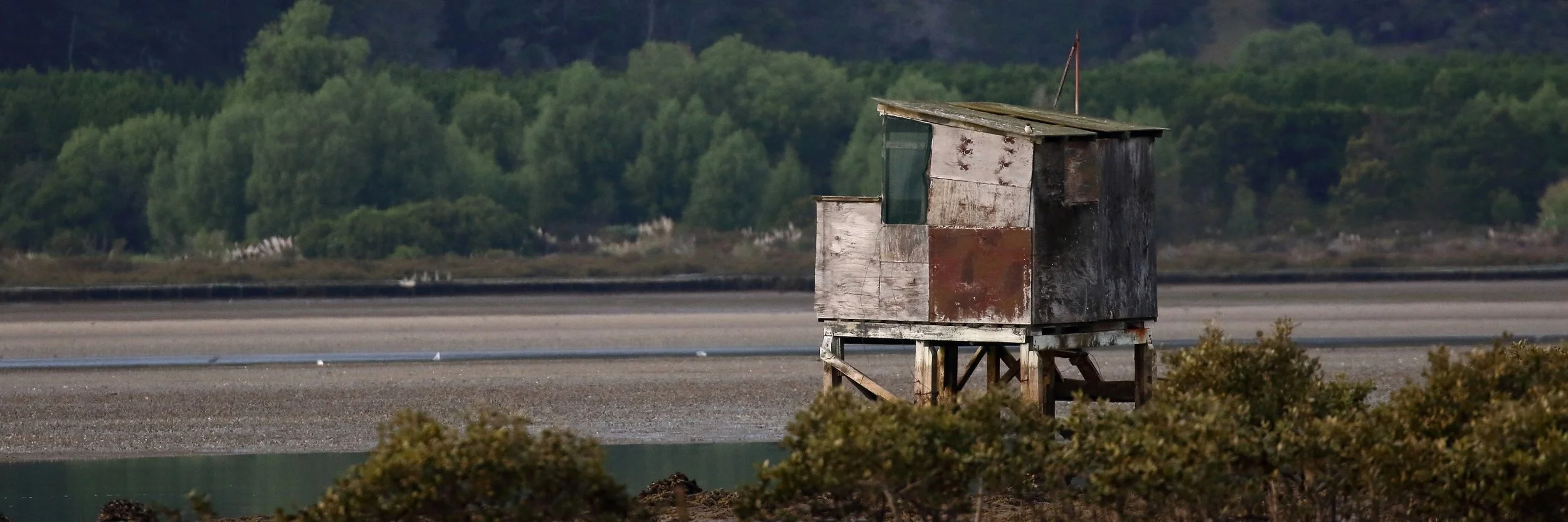 Tairua River,-084.JPG