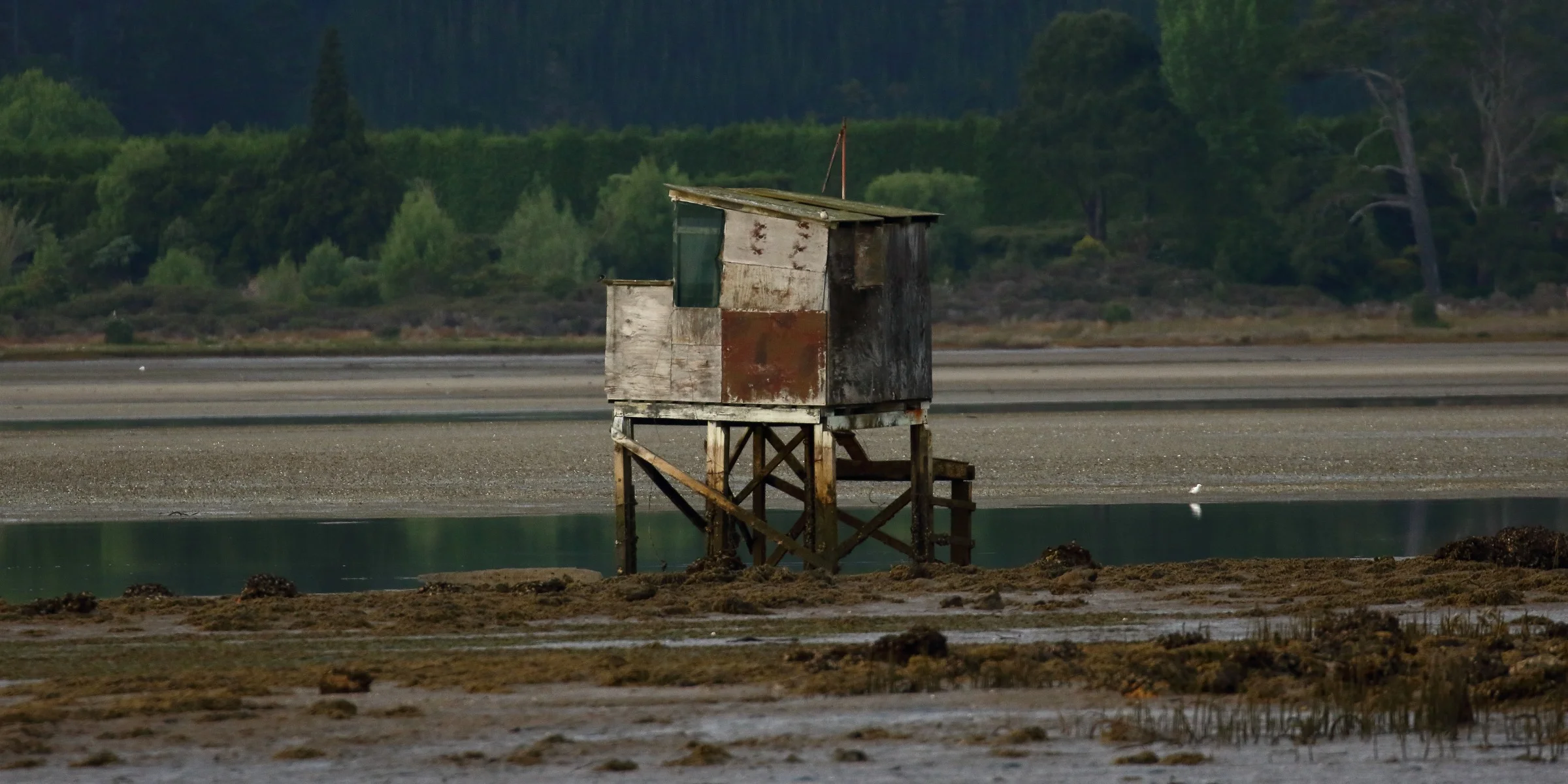 Tairua River,-087.JPG