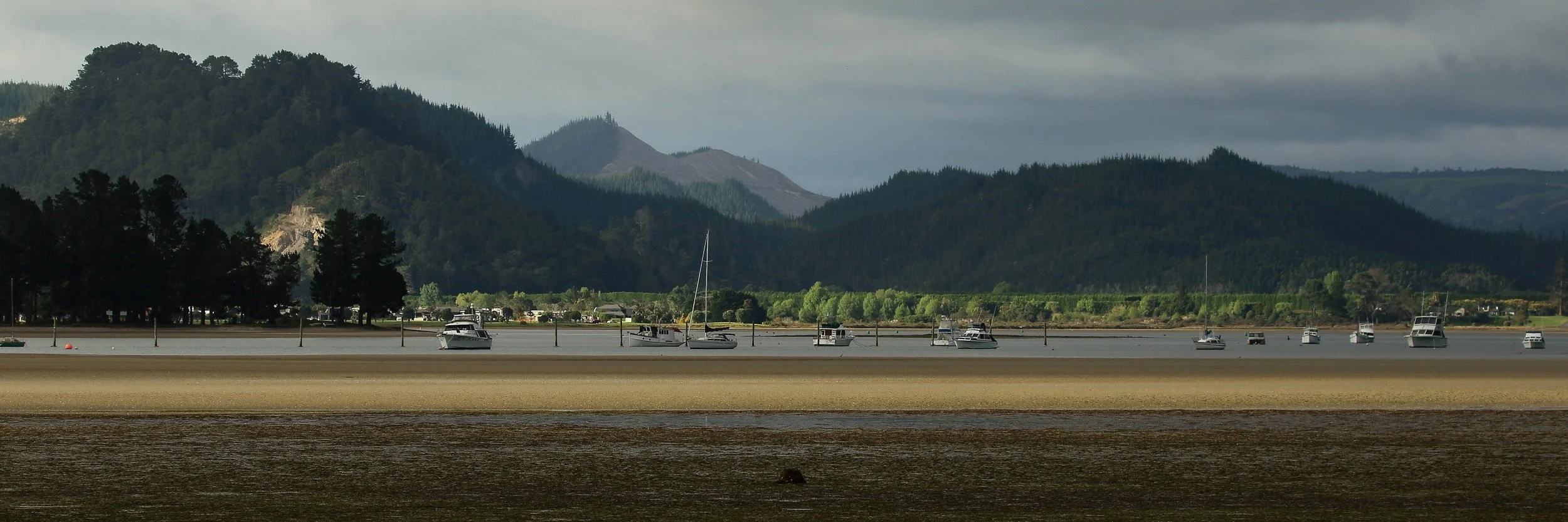 Tairua River,-154.JPG