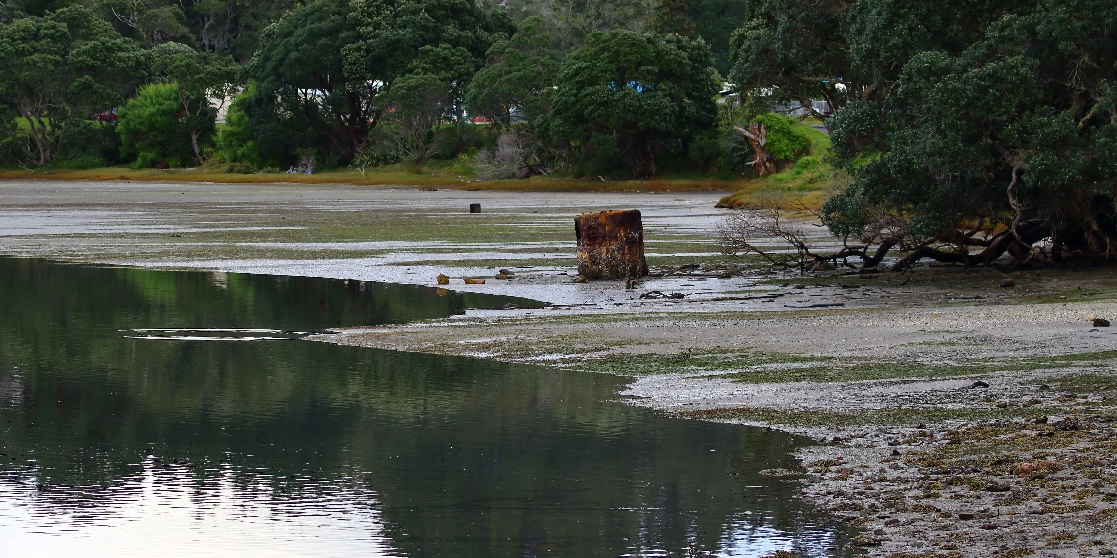 Tairua River,Old Boiler,-089.JPG