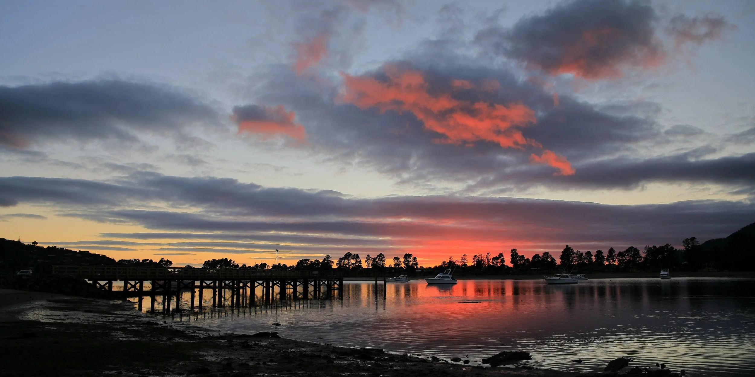 Tairua,-036.JPG