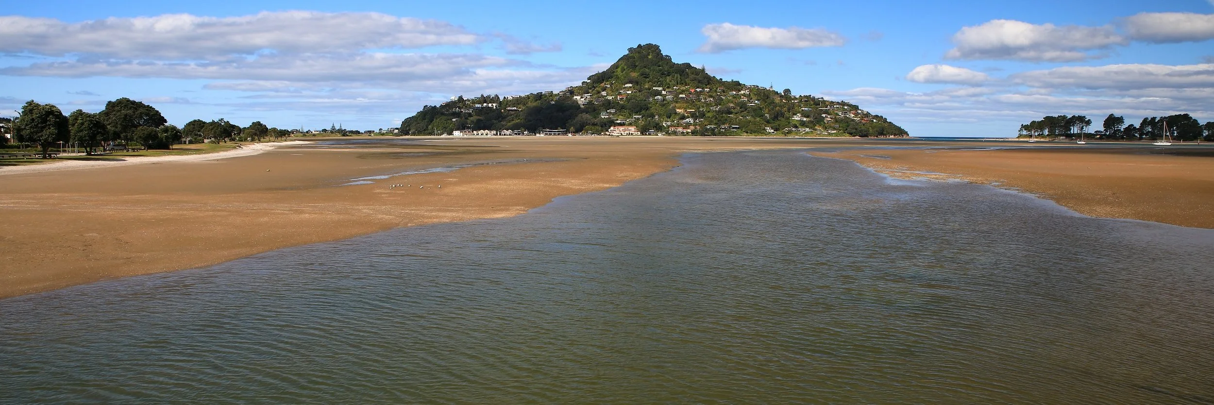 Tairua,-157.JPG