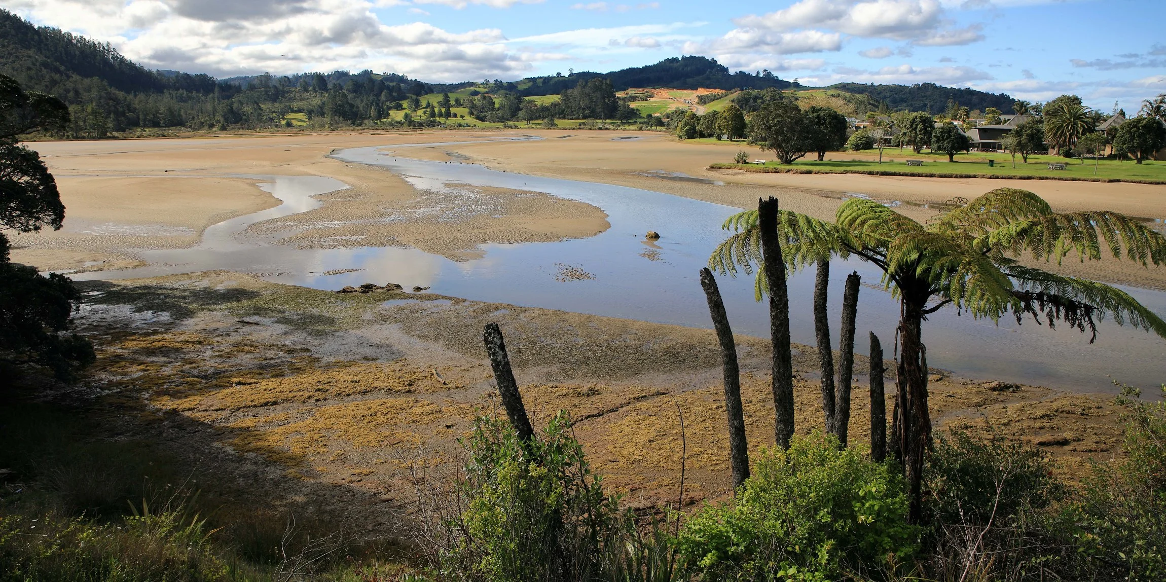 Tairua,-170.JPG