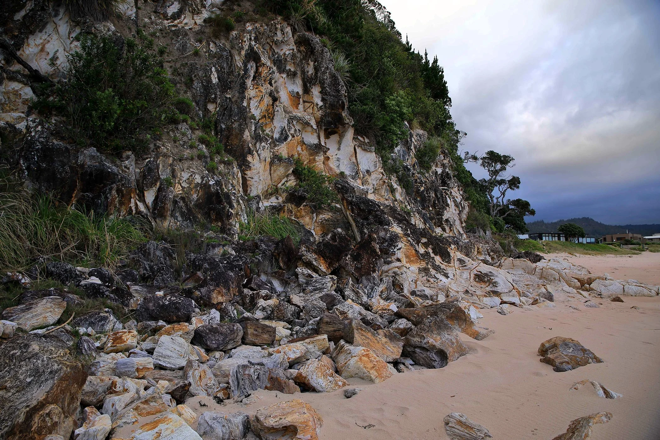 Tairua,-204.JPG