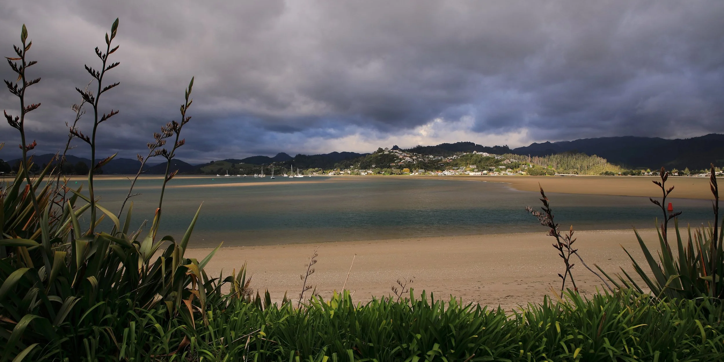Tairua,-238.JPG
