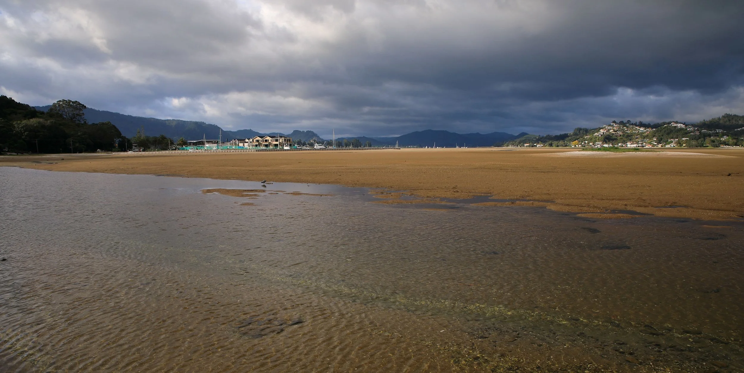 Tairua,-242.JPG
