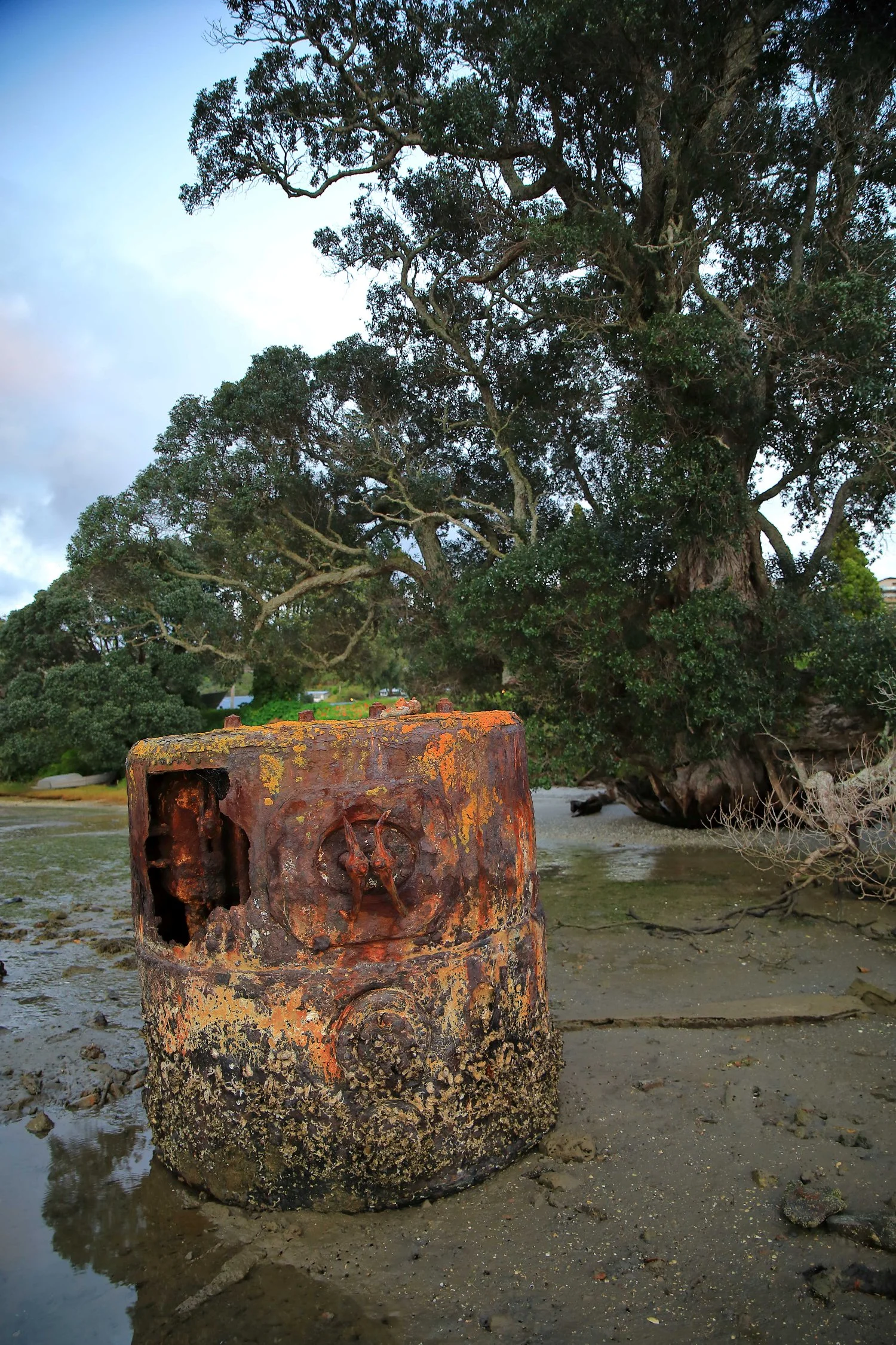 Tairua,Ship's Boiler,-043.JPG