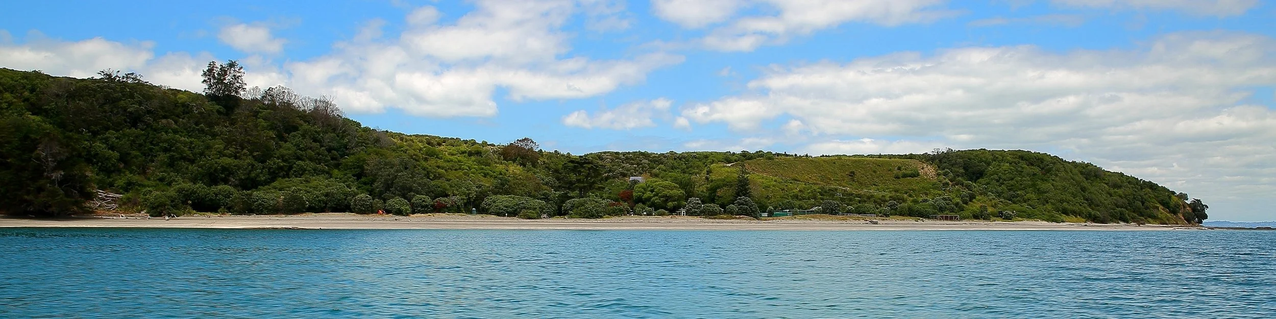 Motuora Is,240-.JPG