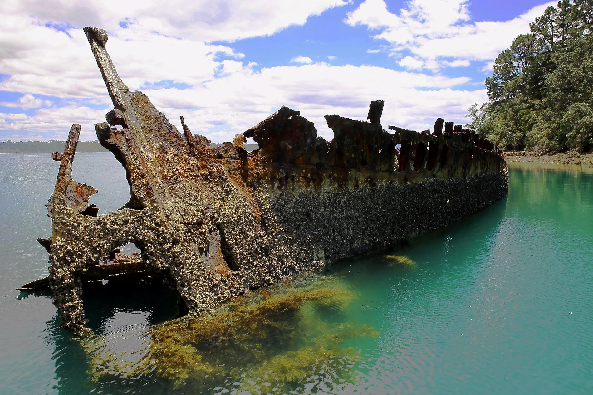 Moturekareka Is,-336.JPG