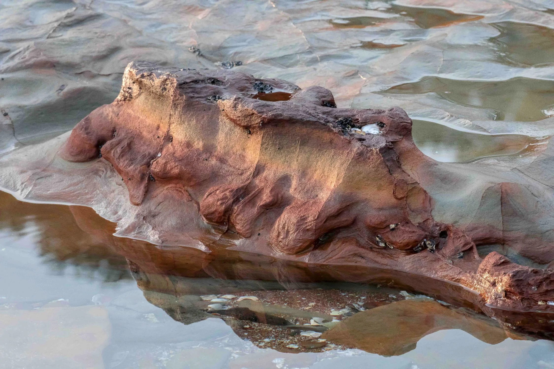 Stanmore Bay,-275.JPG