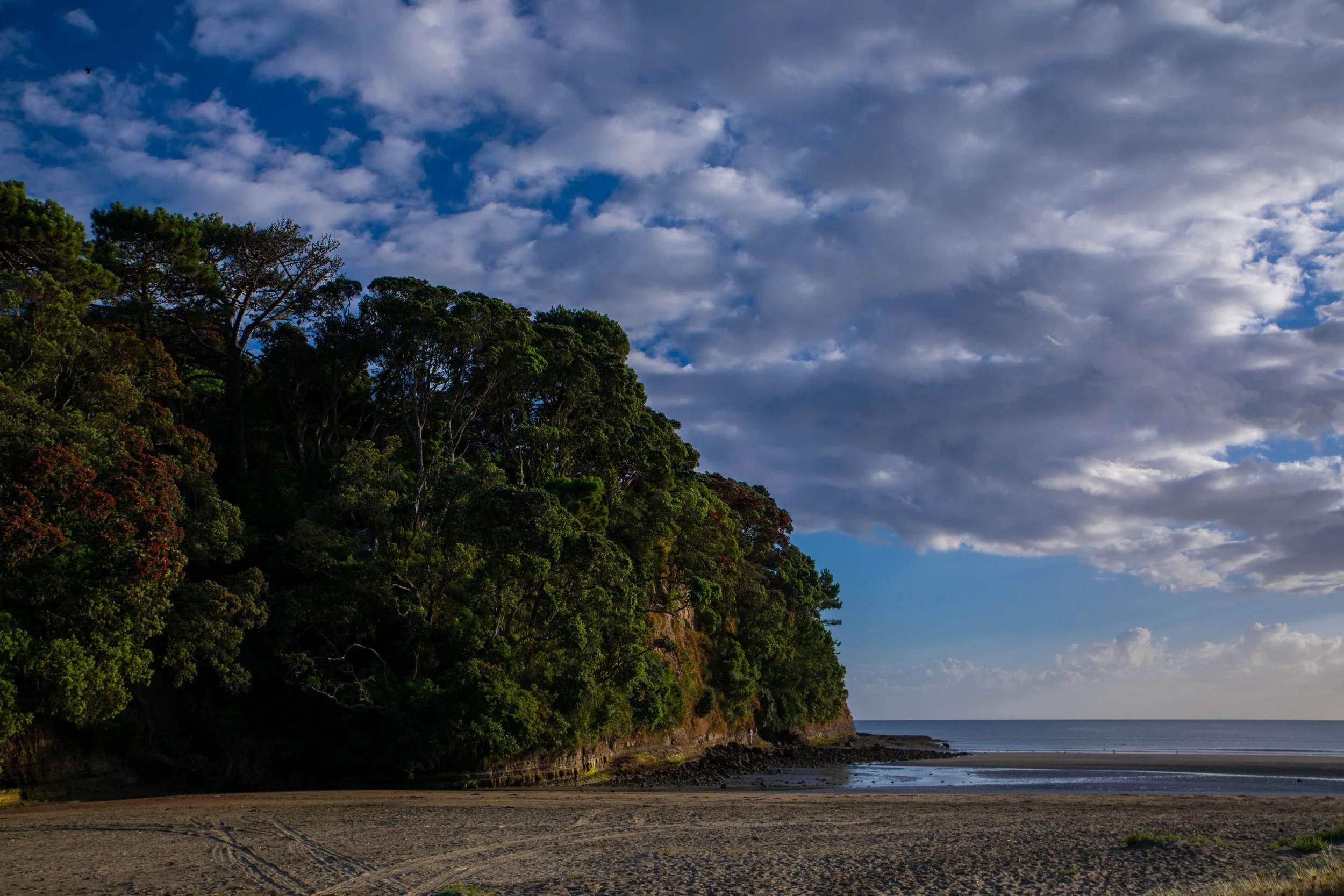 Orewa Beach,-027.JPG