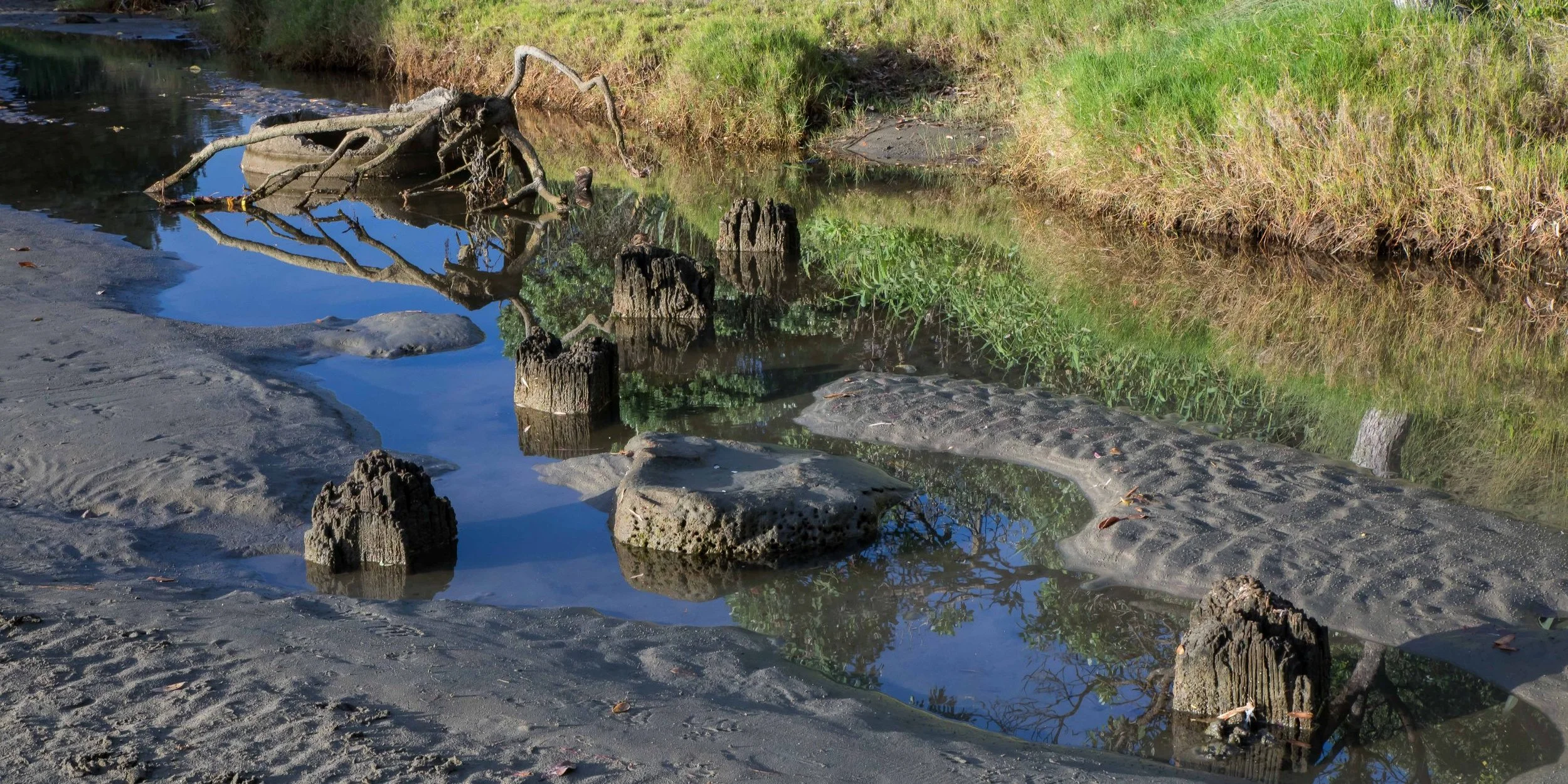 Orewa Beach,-030.JPG