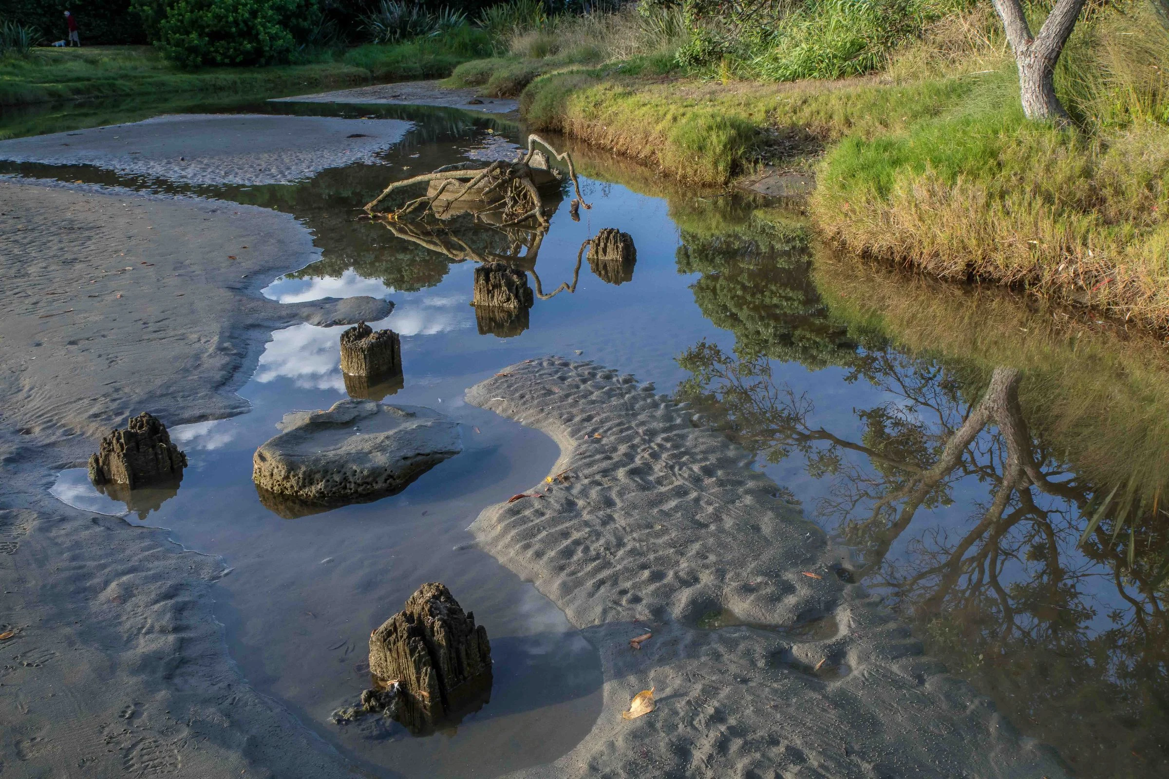 Orewa Beach,-034.JPG