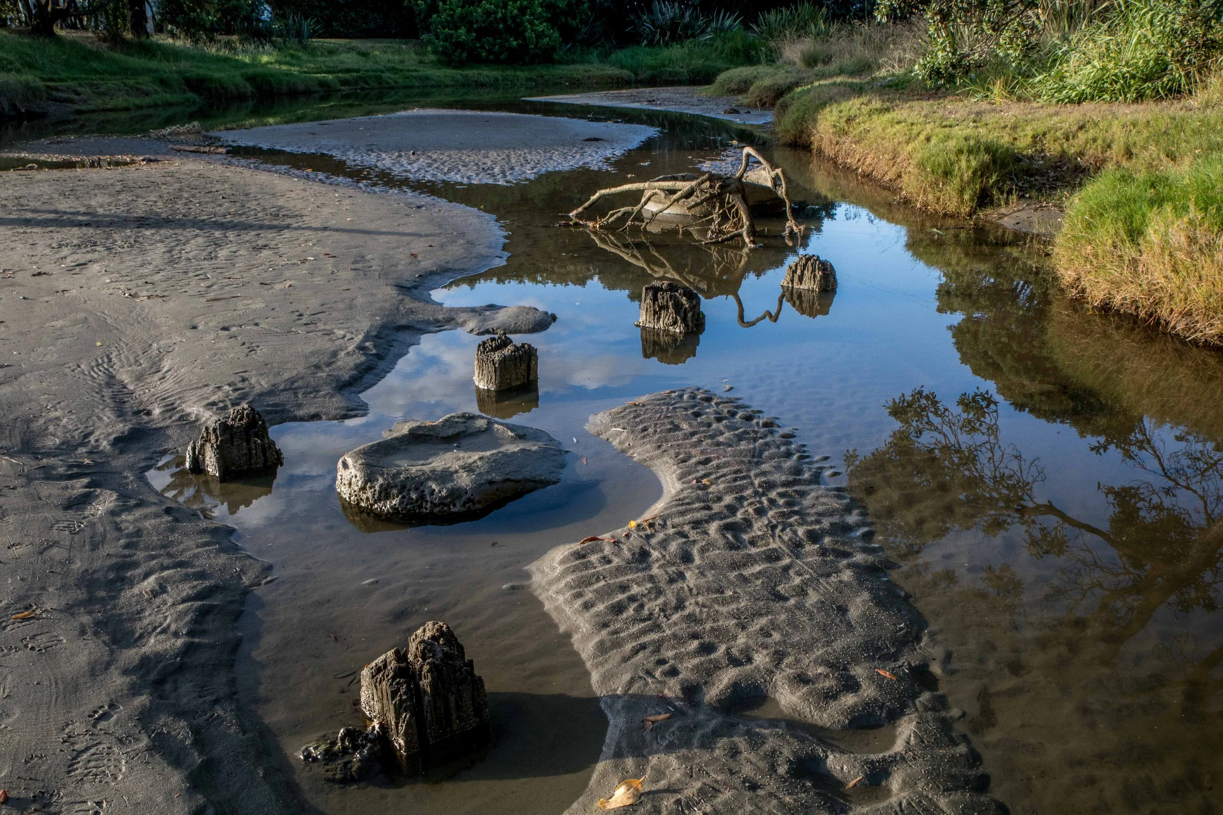 Orewa Beach,-038.JPG