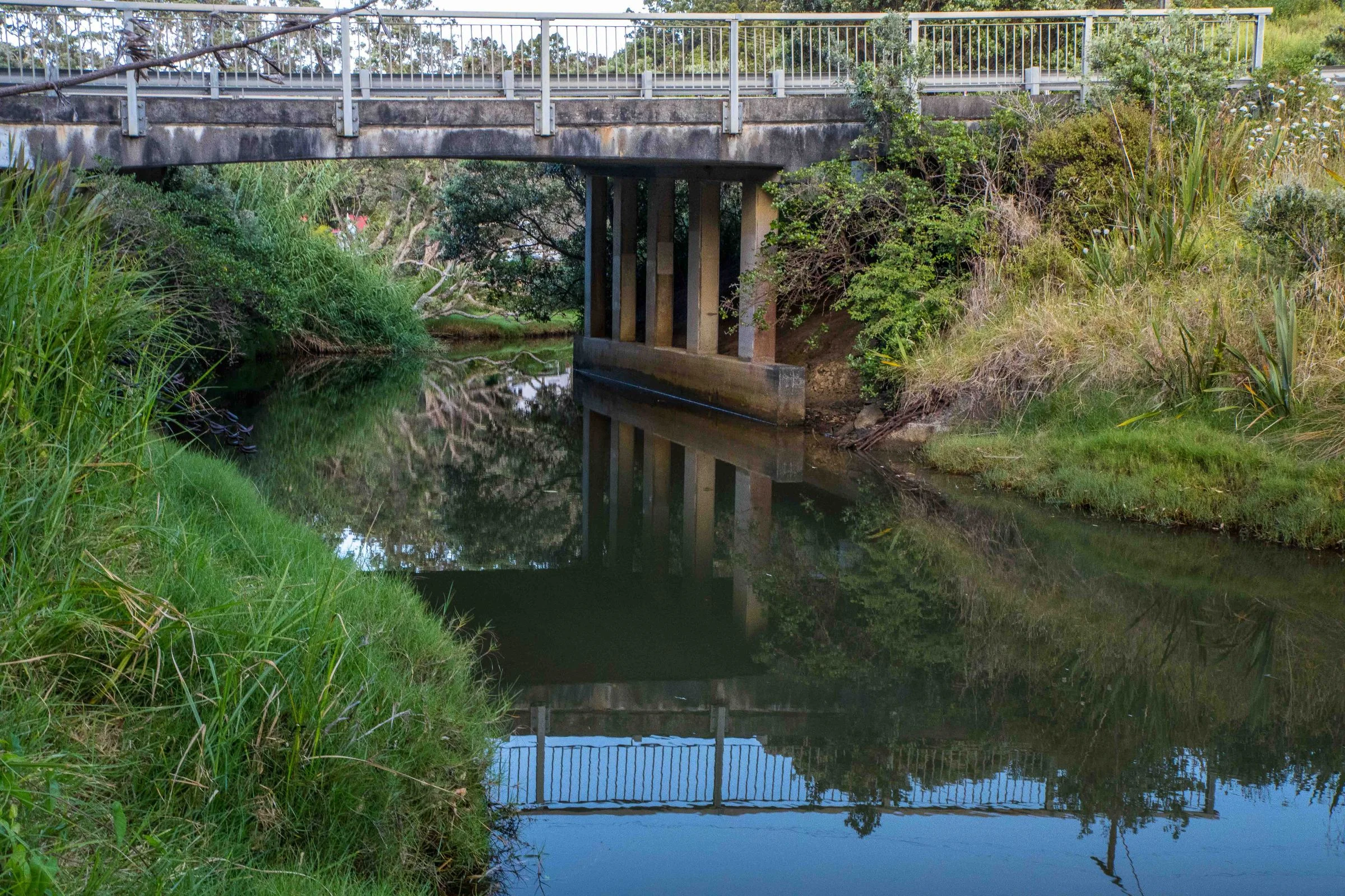 Orewa Beach,-041.JPG