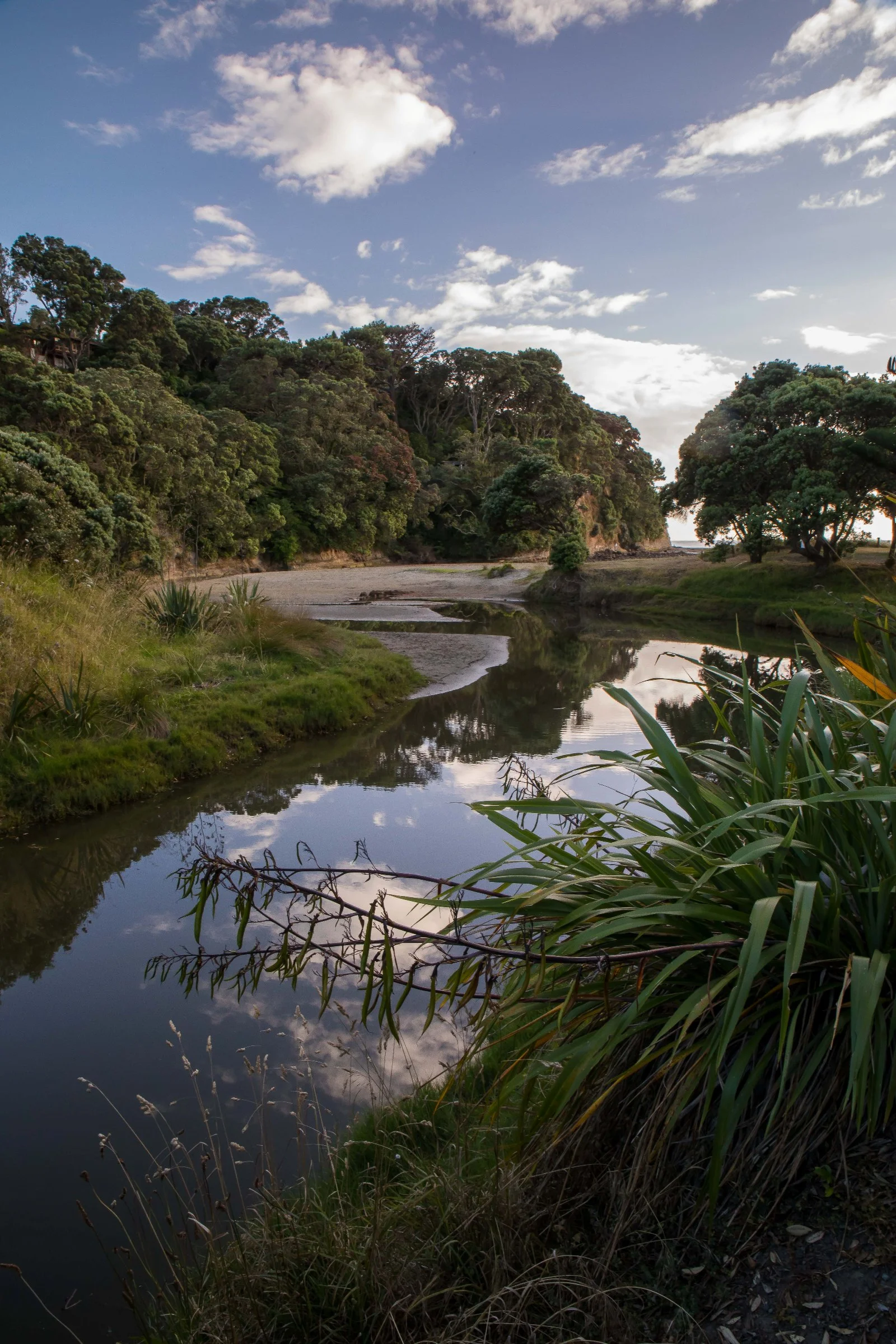 Orewa Beach,-043.JPG