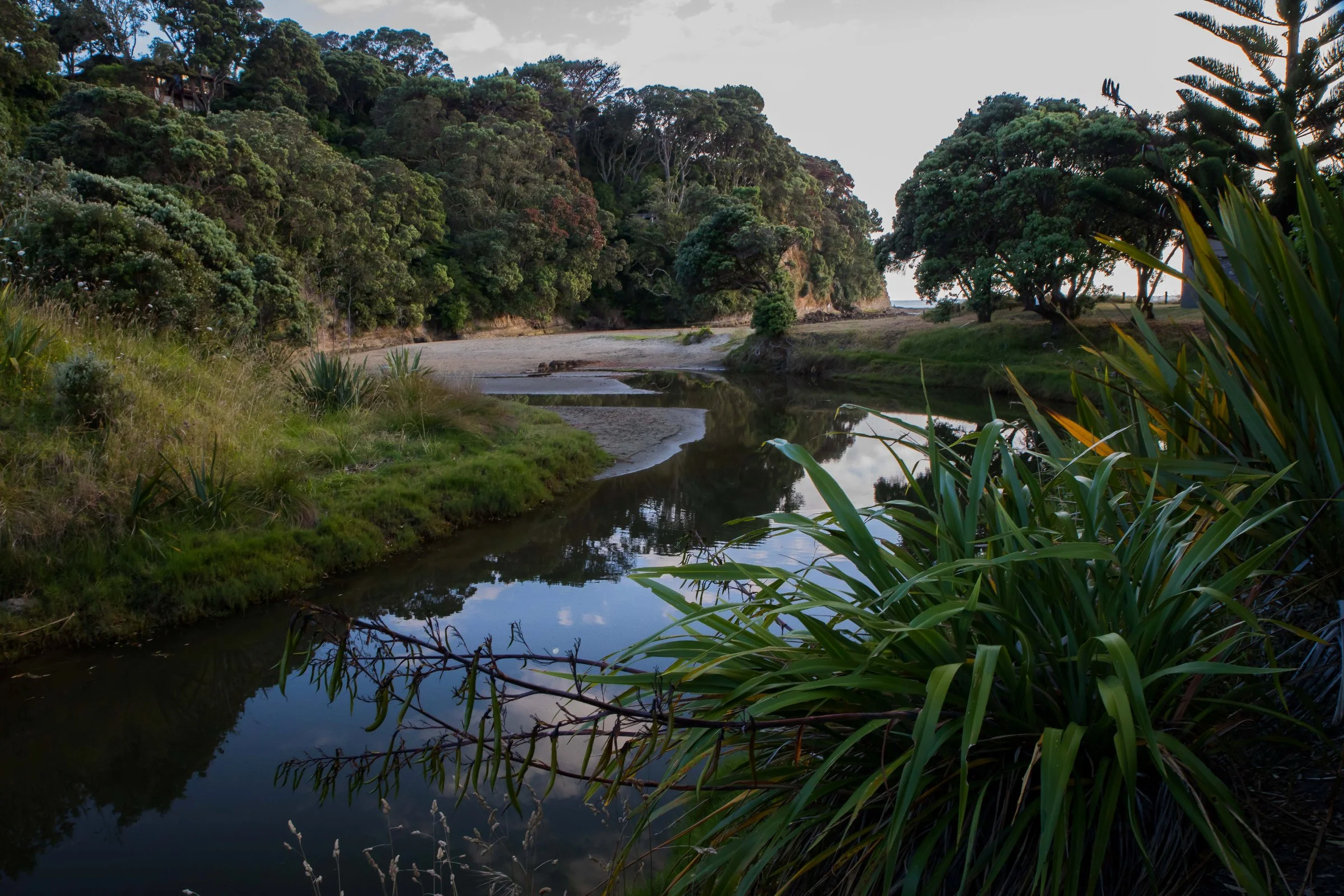 Orewa Beach,-044.JPG