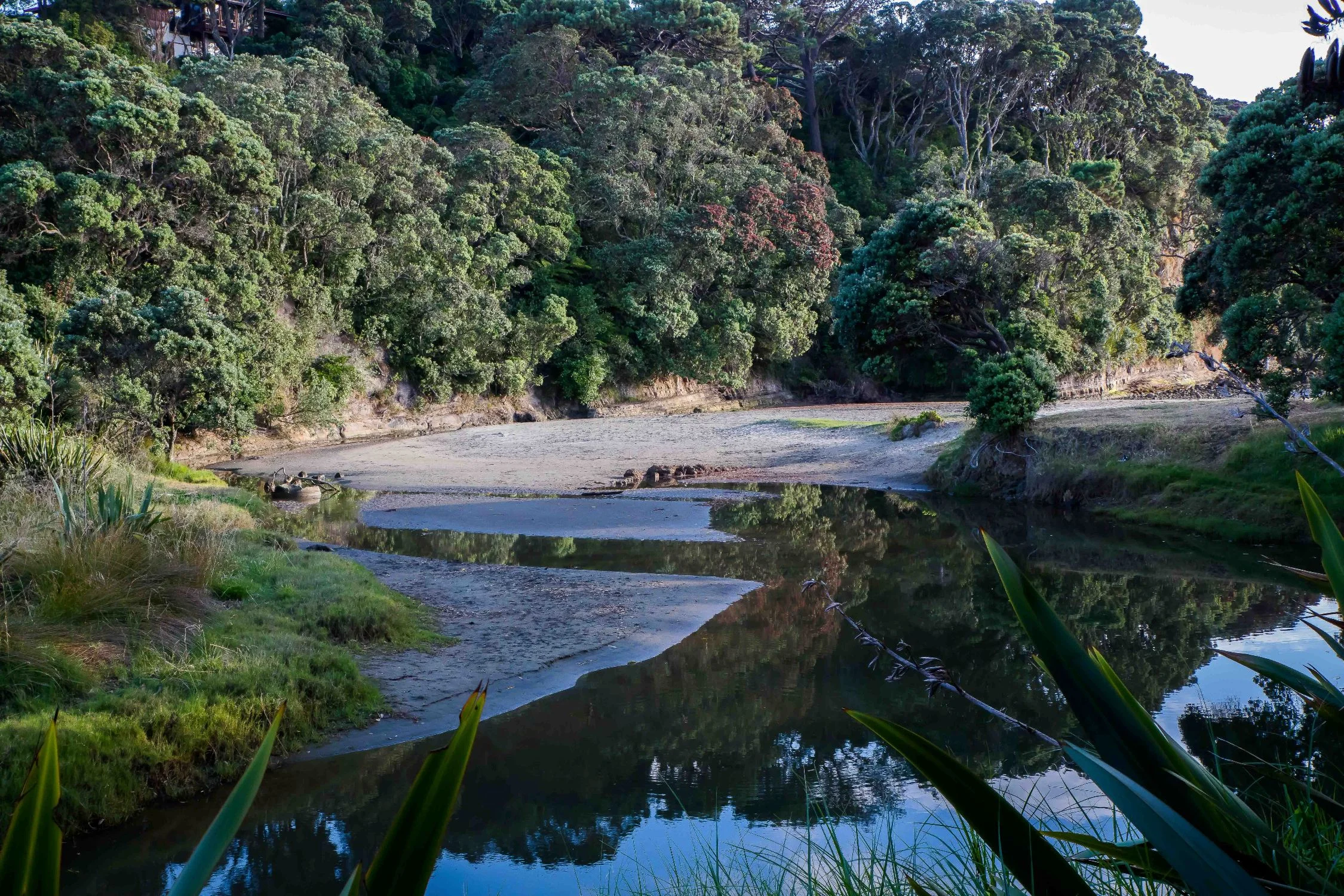 Orewa Beach,-049.JPG