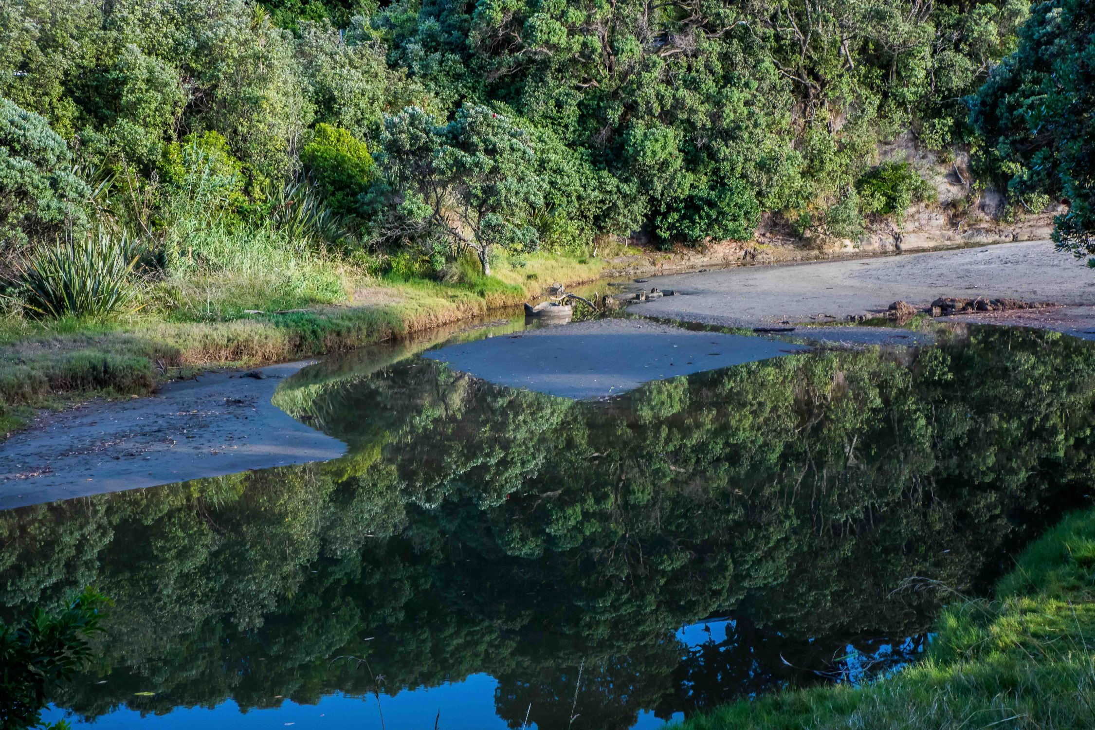 Orewa Beach,-051.JPG