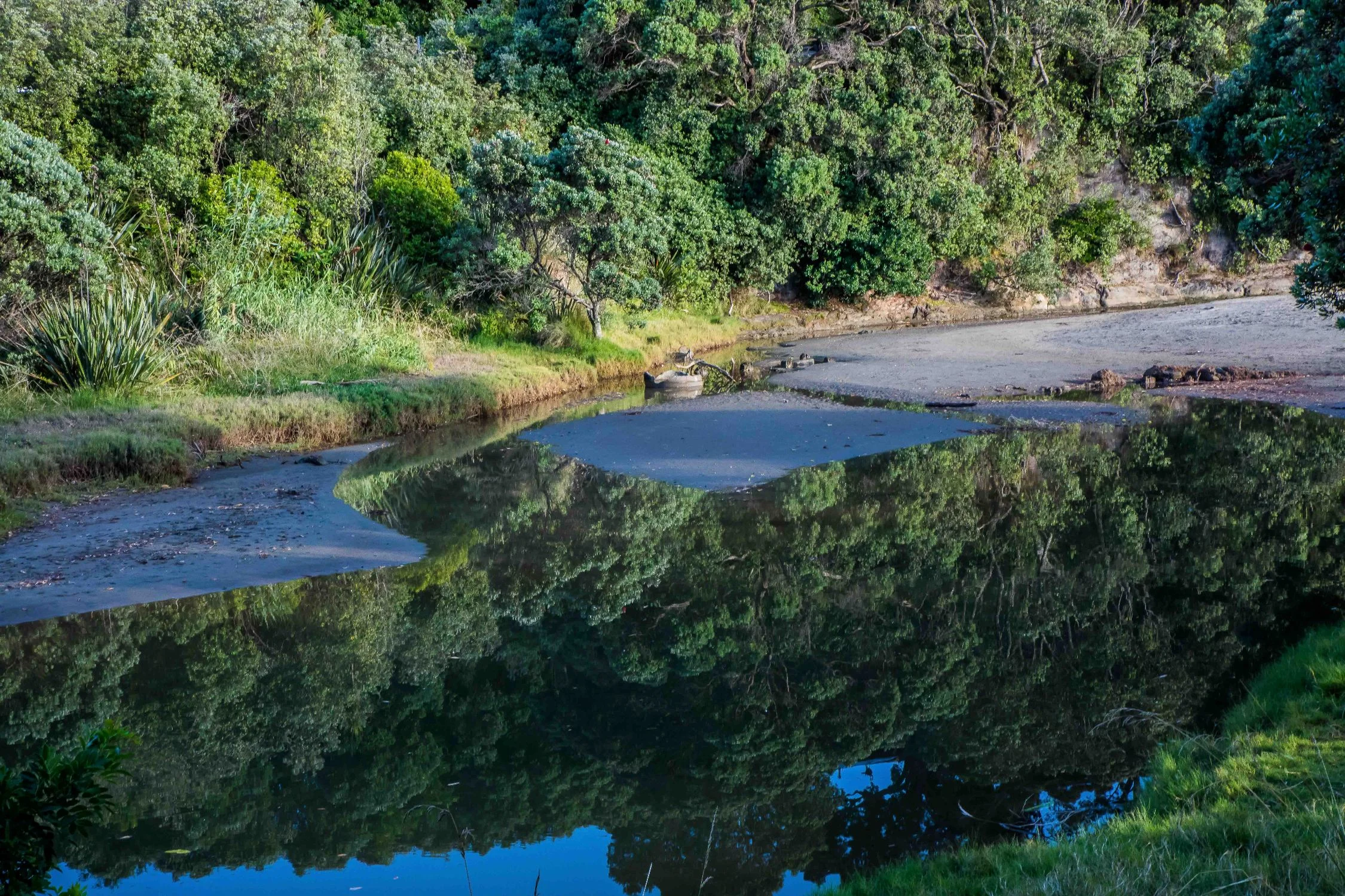 Orewa Beach,-051.JPG