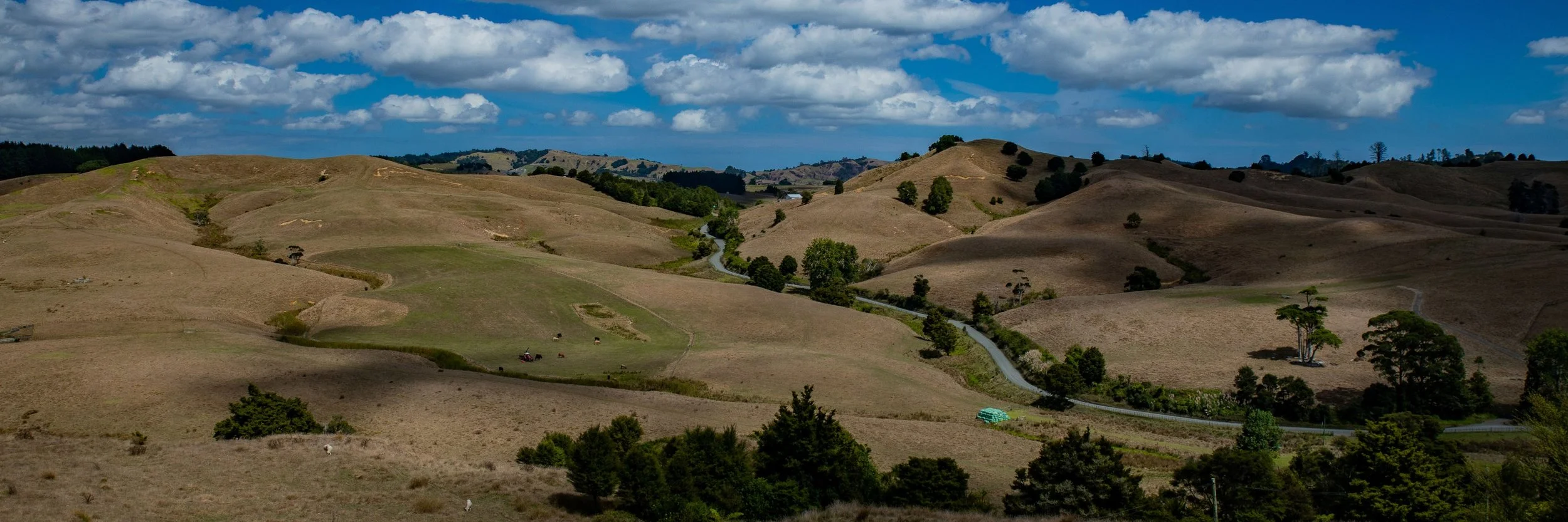 Puhoi Hinterland,-622.JPG
