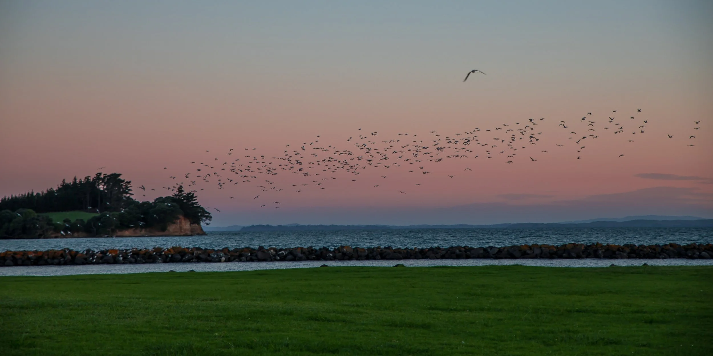 Gulf Harbour,-253.JPG