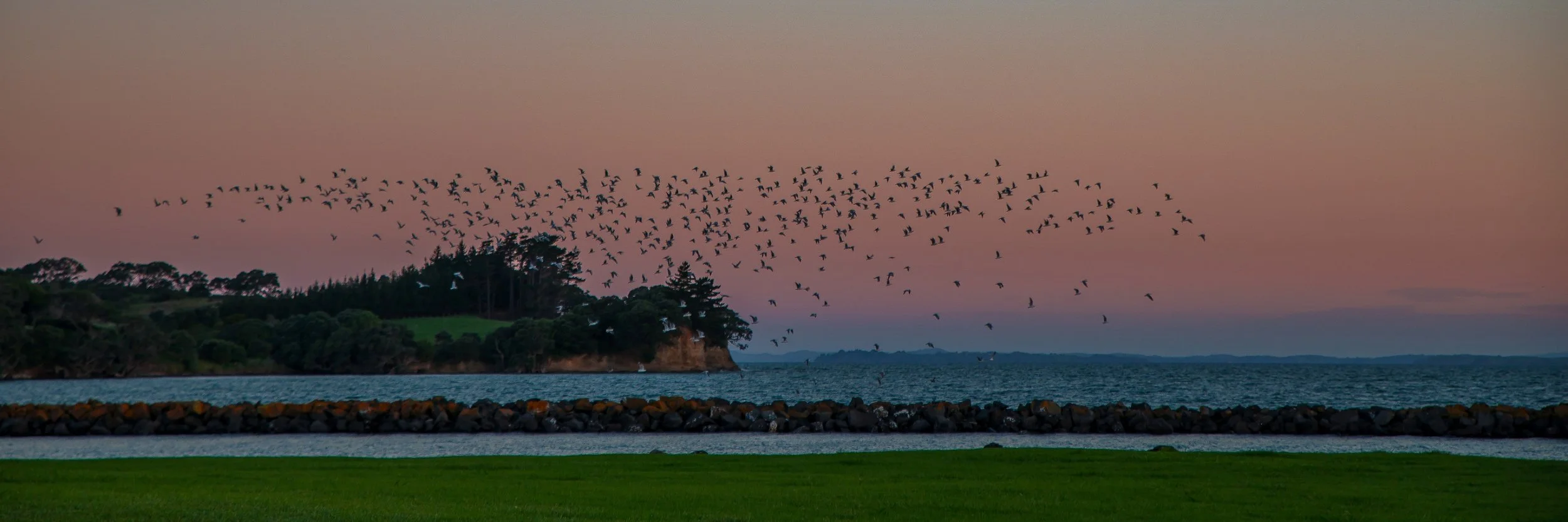 Gulf Harbour,-257.JPG