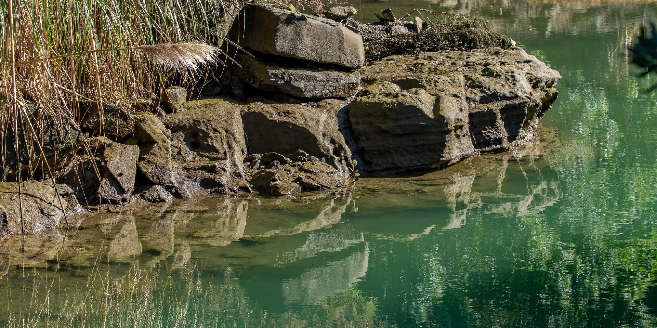 Gulf Harbour,-281.JPG