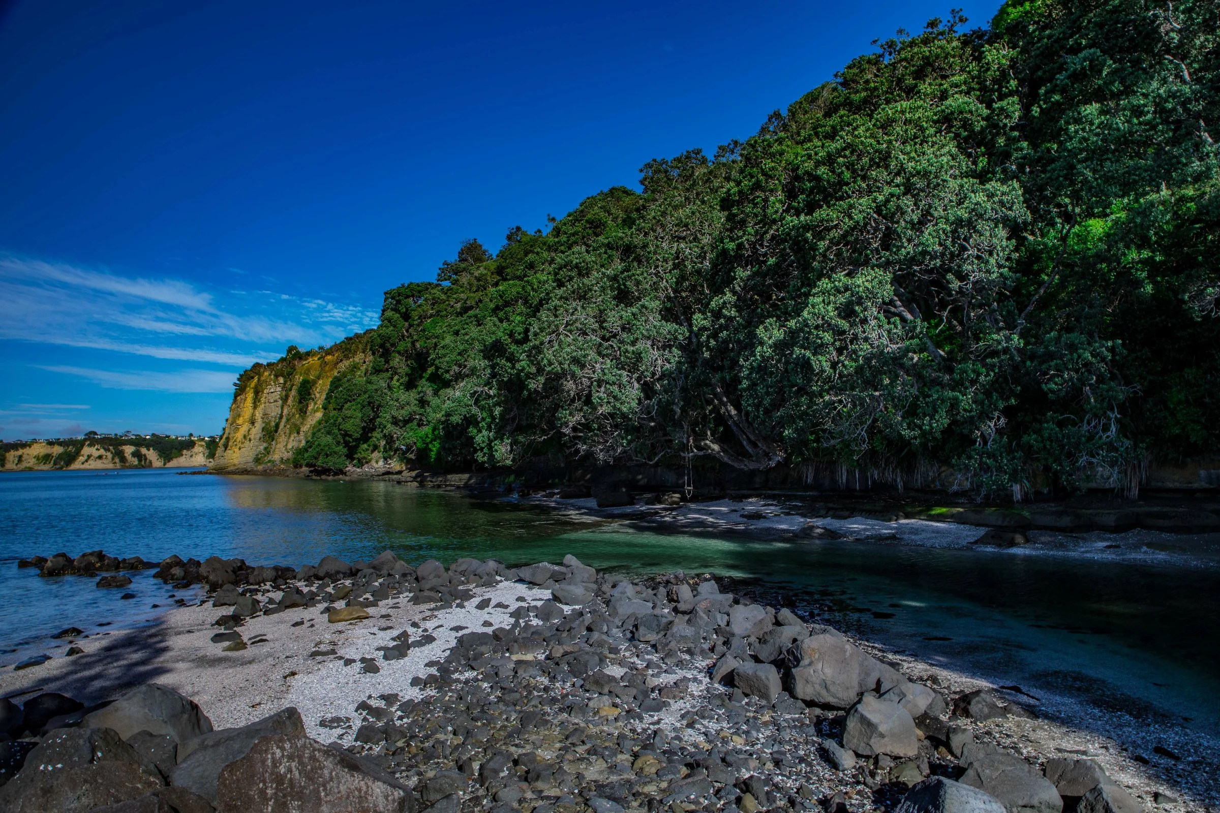 Gulf Harbour,-1138.JPG