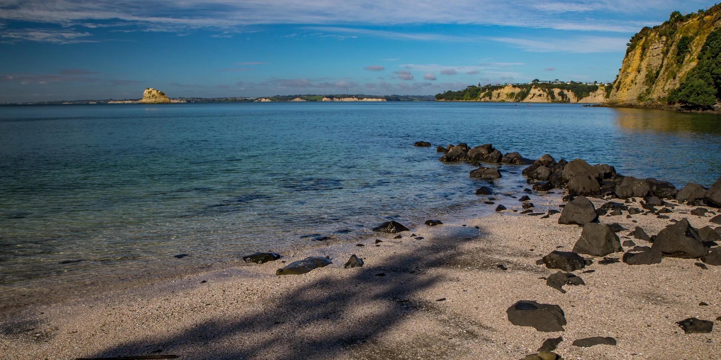 Gulf Harbour,-1146.JPG