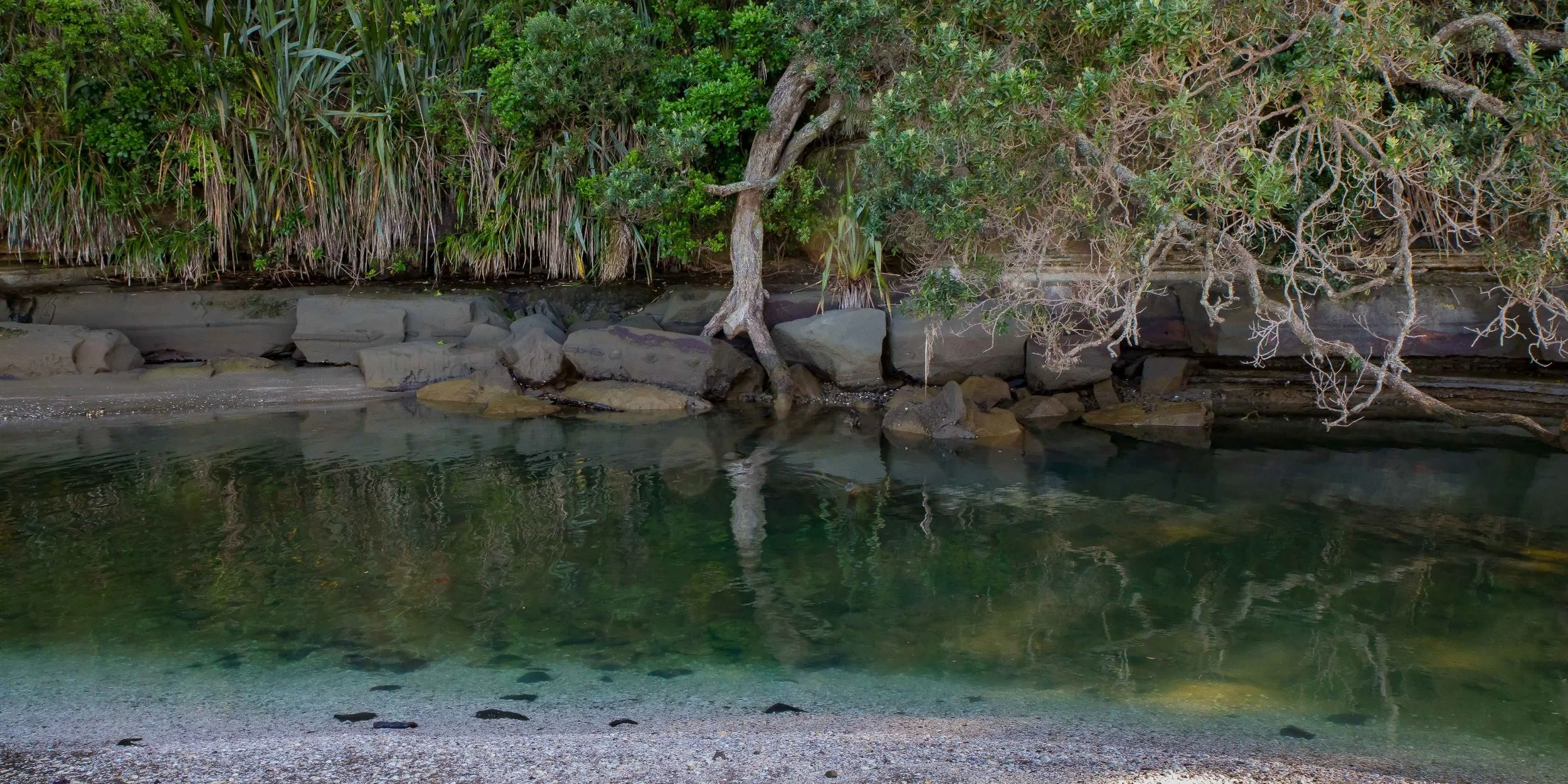 Gulf Harbour,-1147.JPG