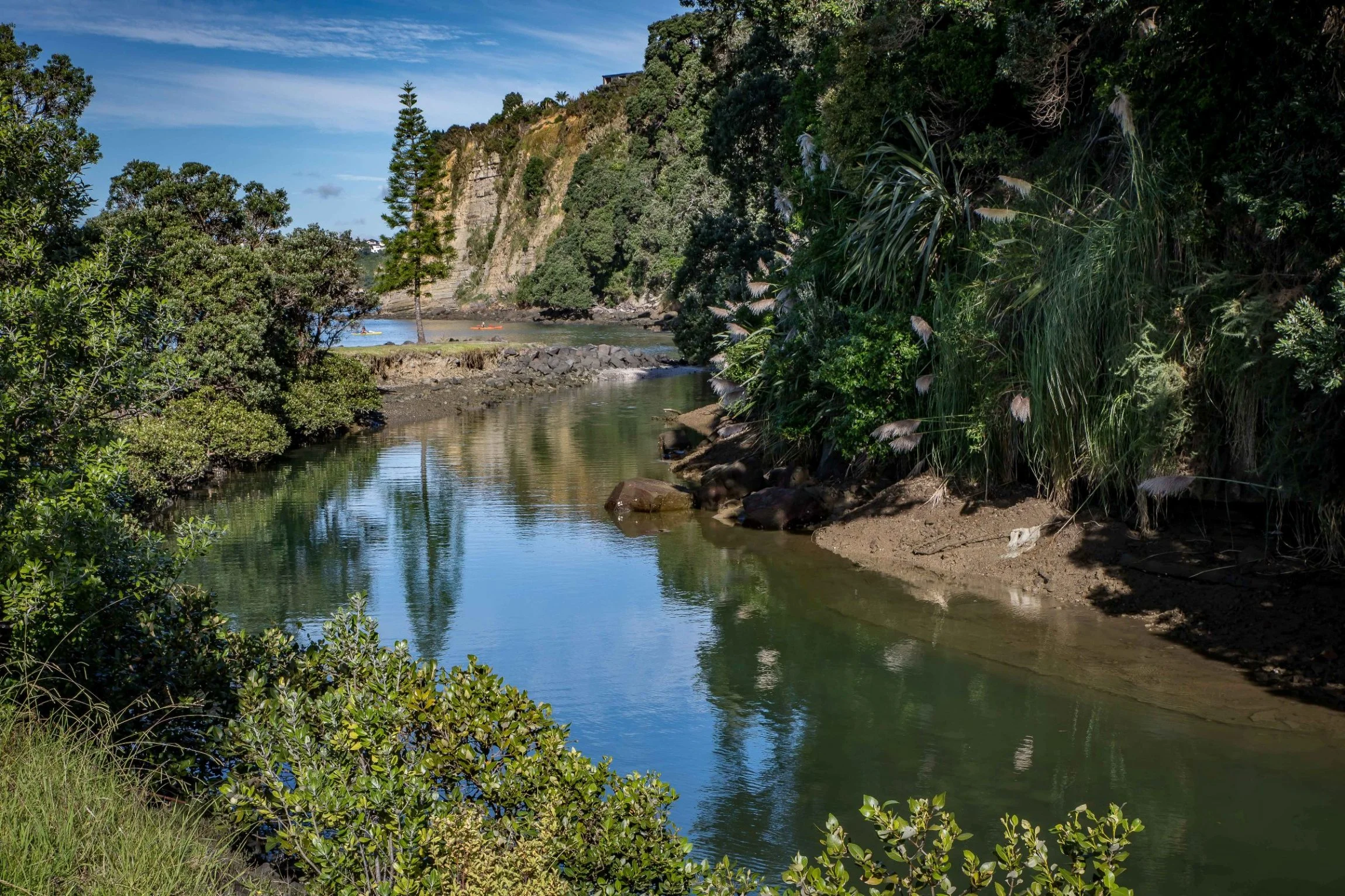 Gulf Harbour,-1150.JPG