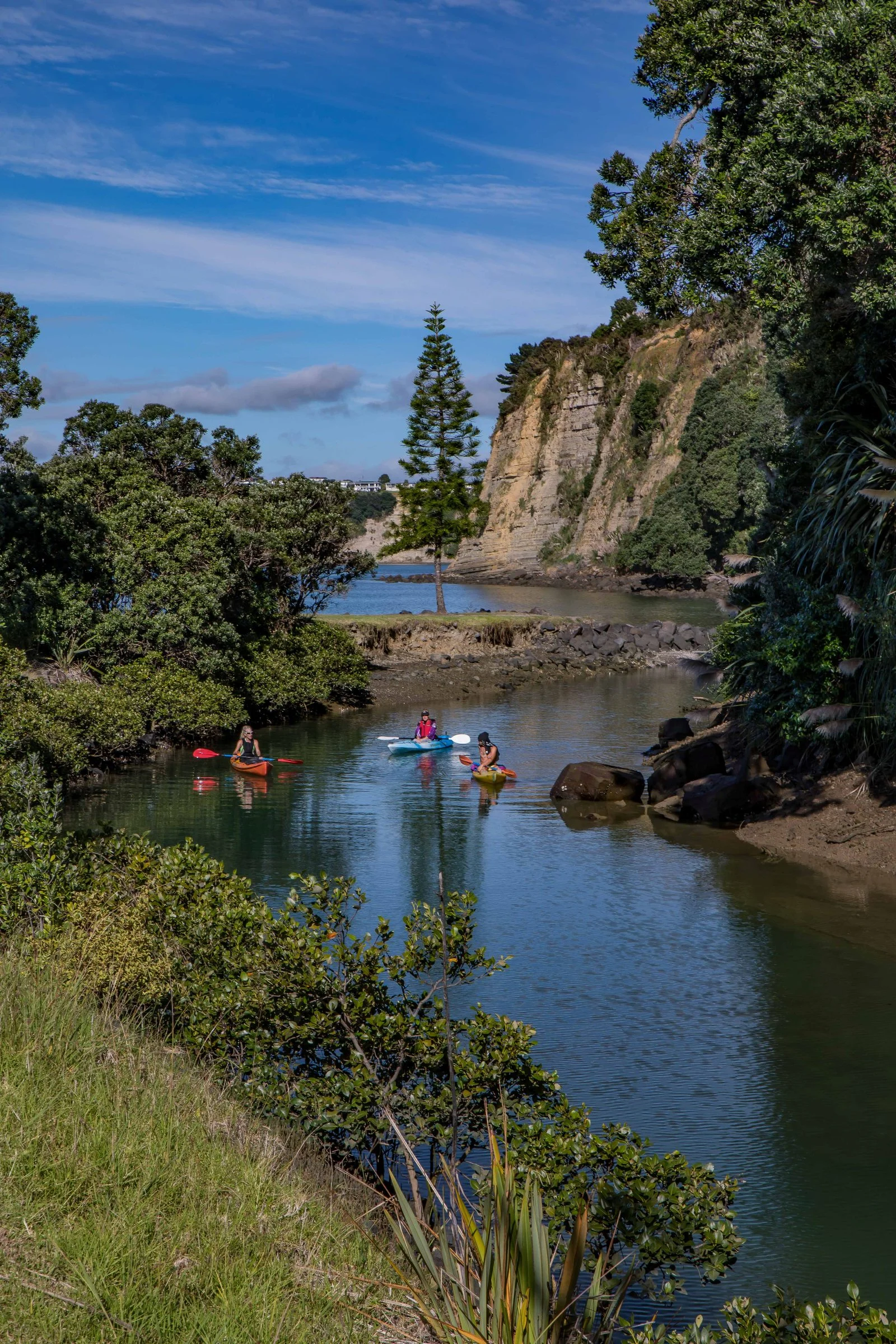 Gulf Harbour,-1151.JPG