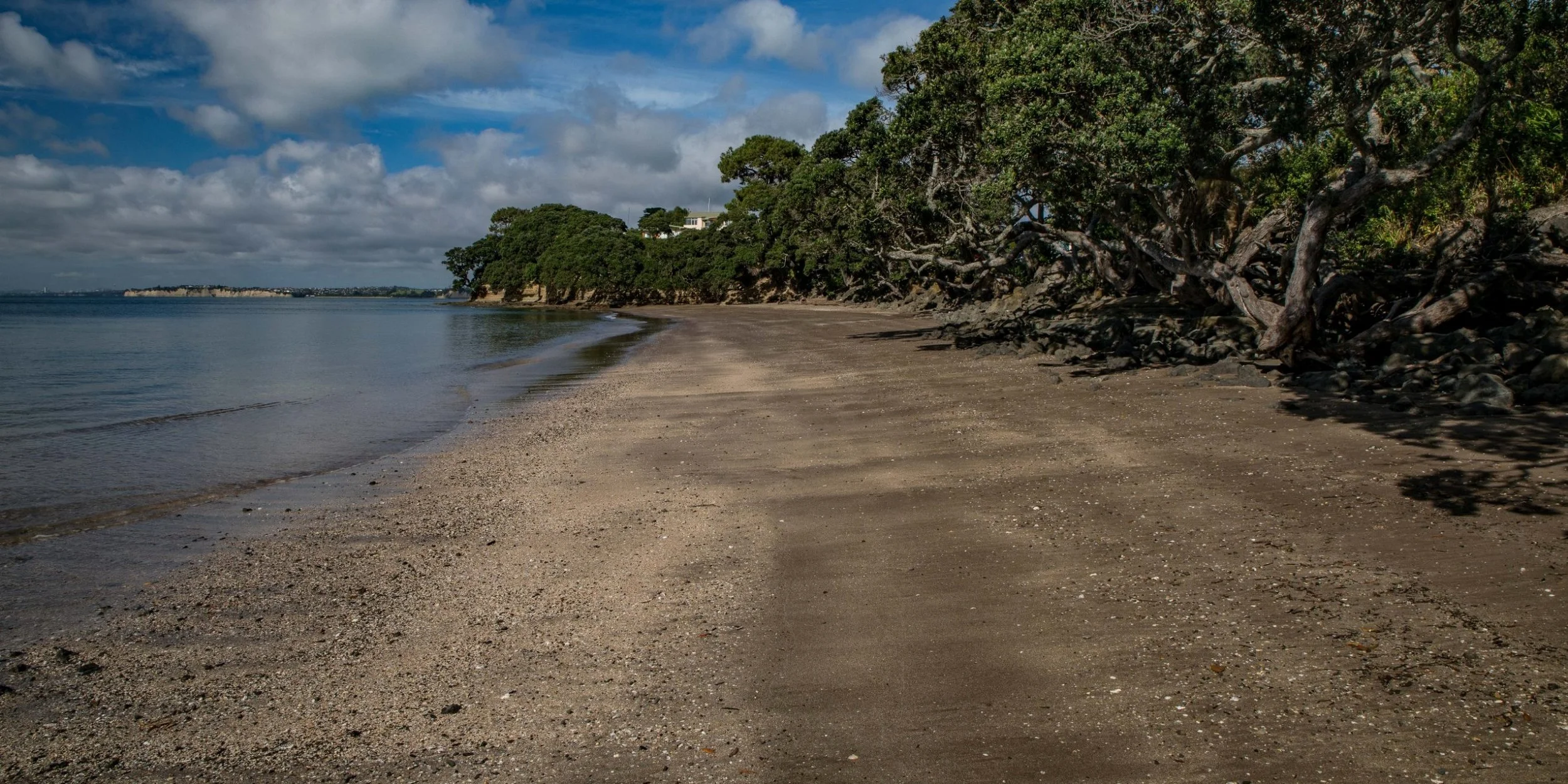 Little Manly Beach,-1161.JPG