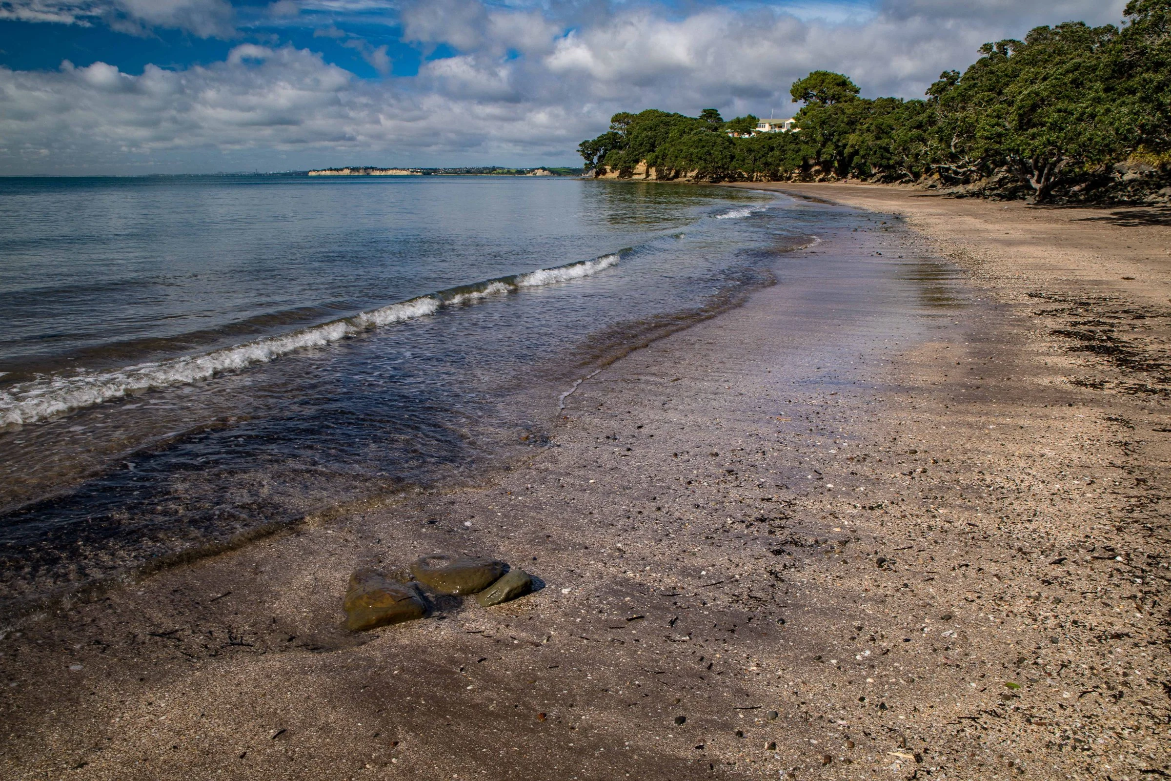Little Manly Beach,-1165.JPG
