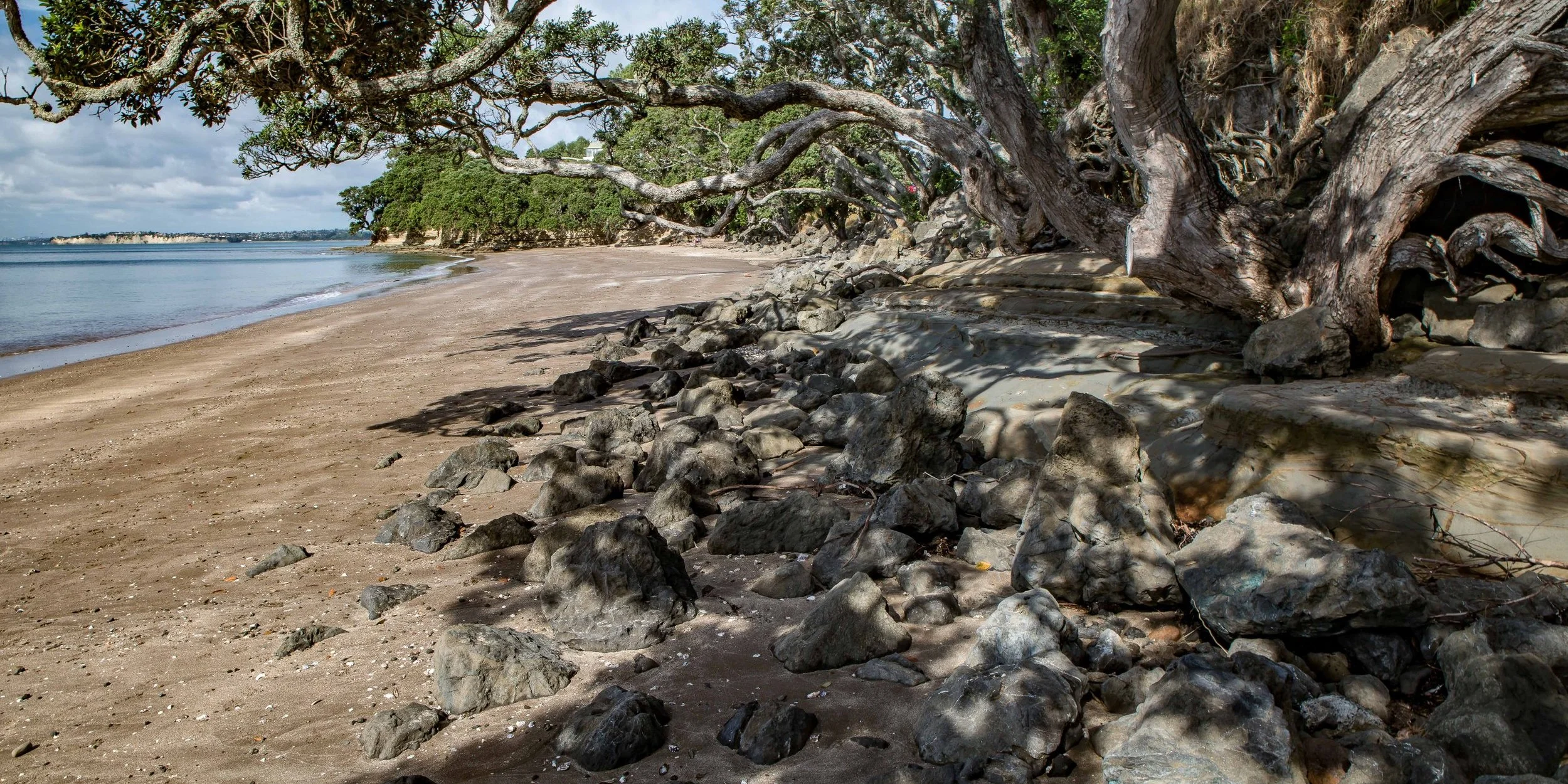 Little Manly Beach,-1172.JPG