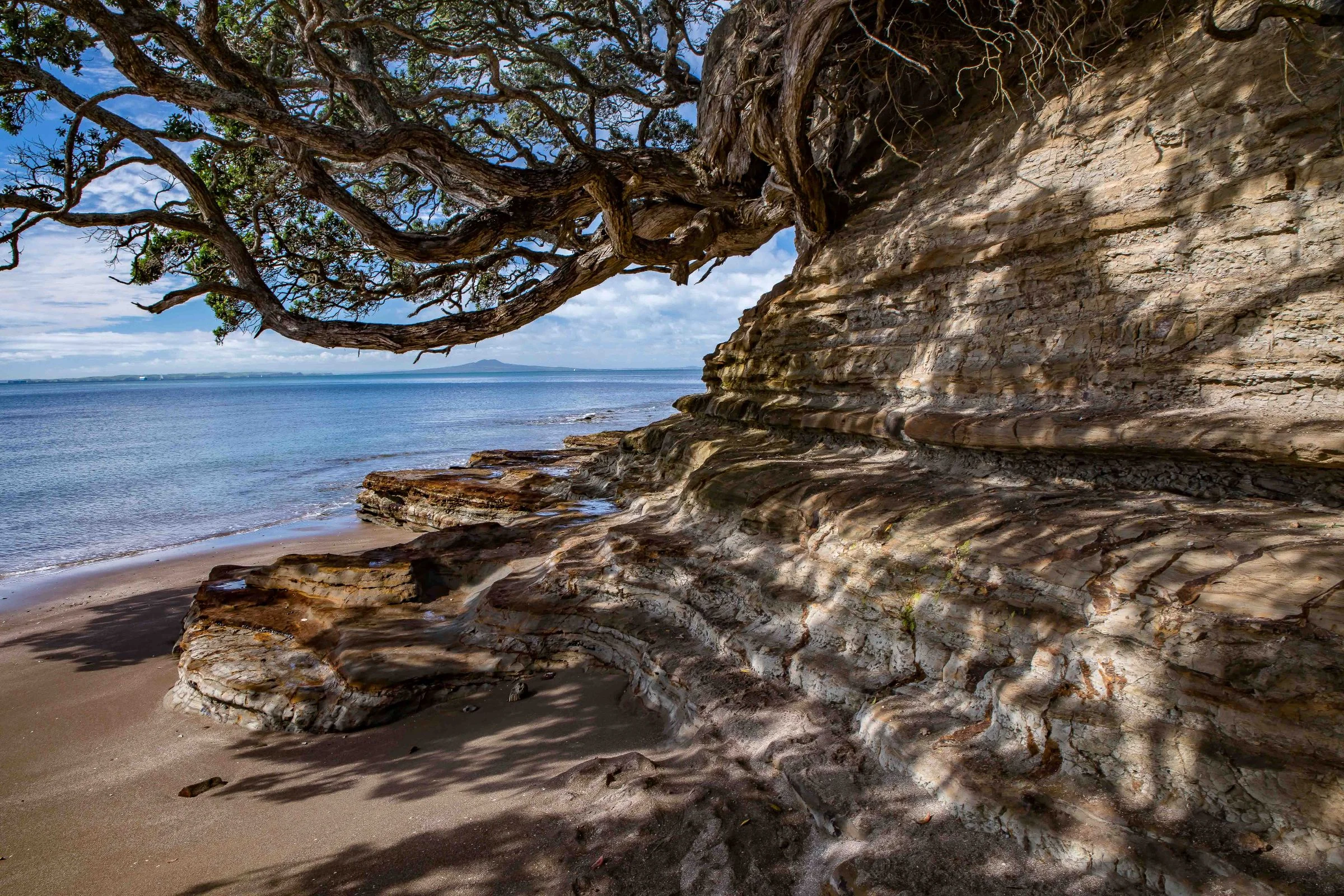 Little Manly Beach,-1175.JPG