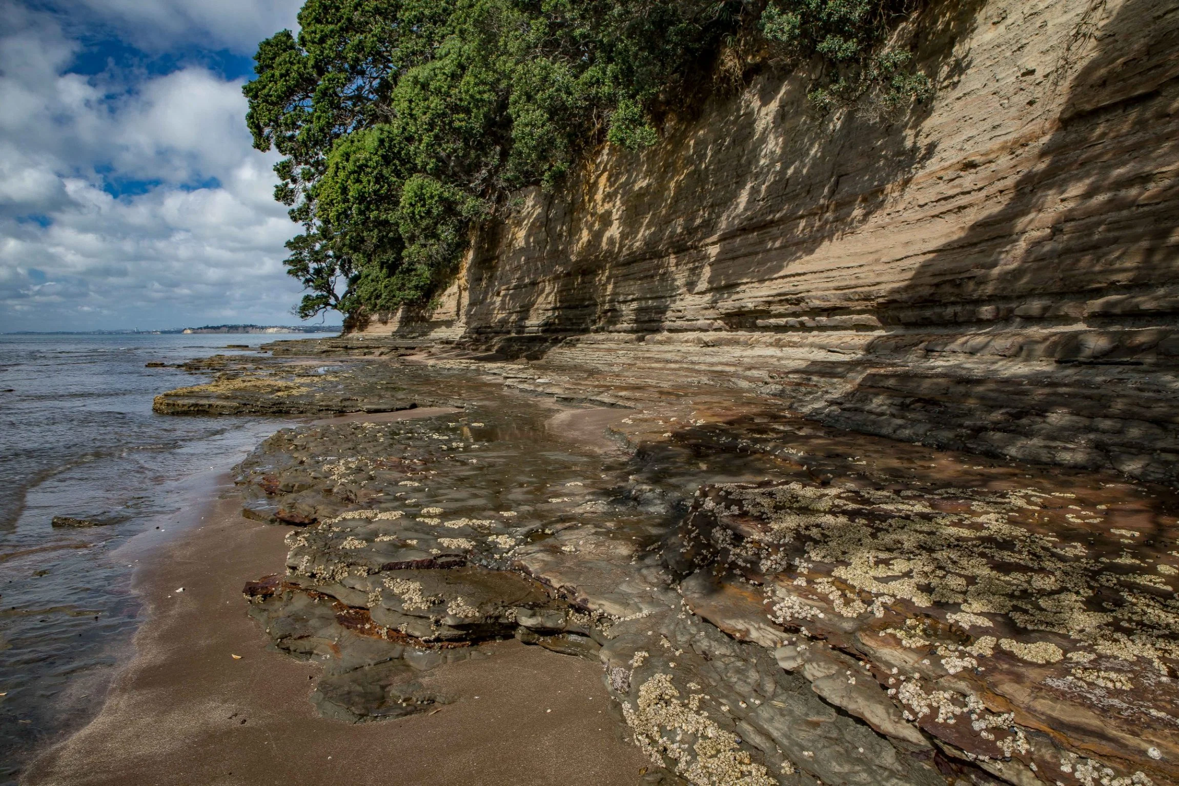 Little Manly Beach,-1180.JPG