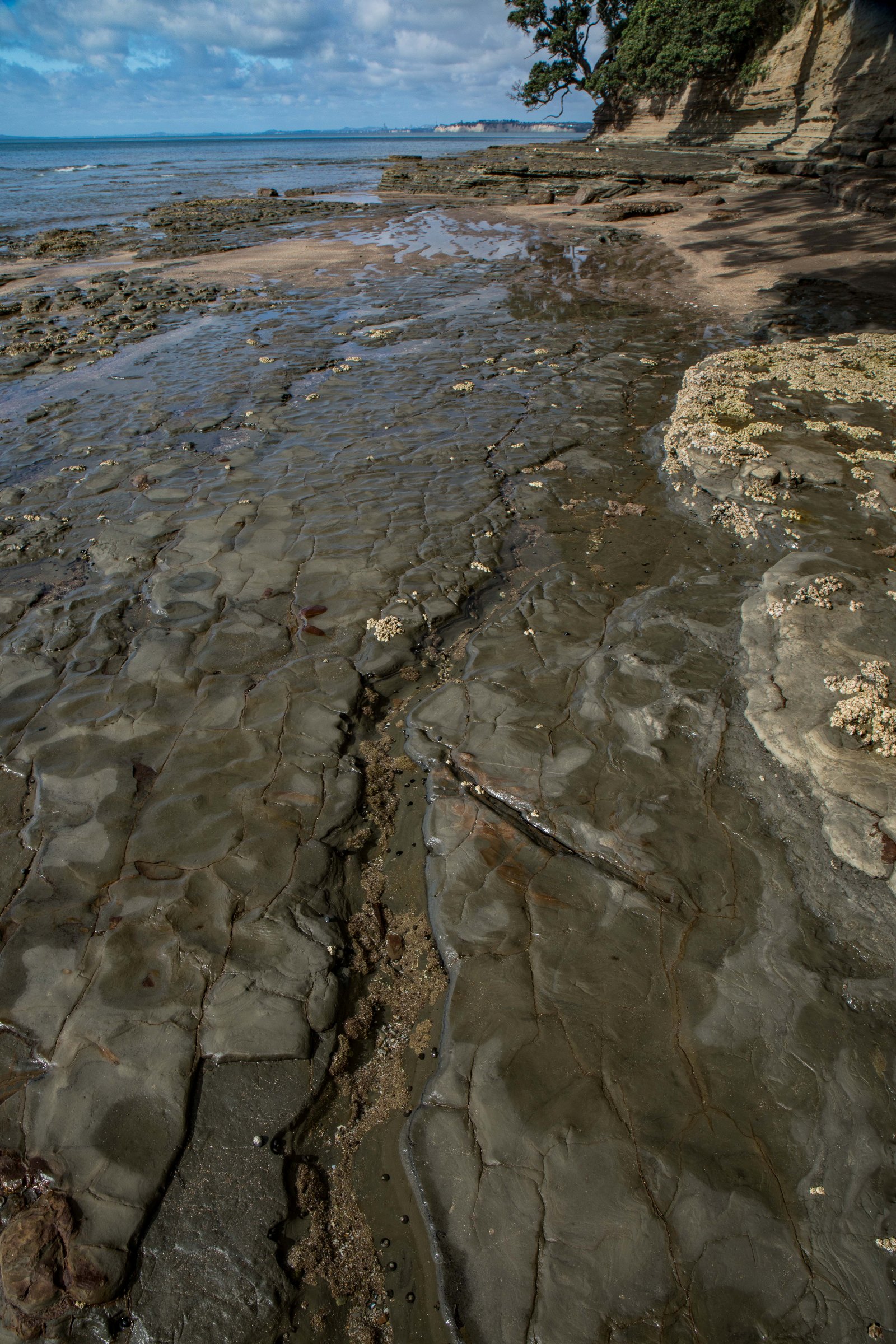 Little Manly Beach,-1186.JPG