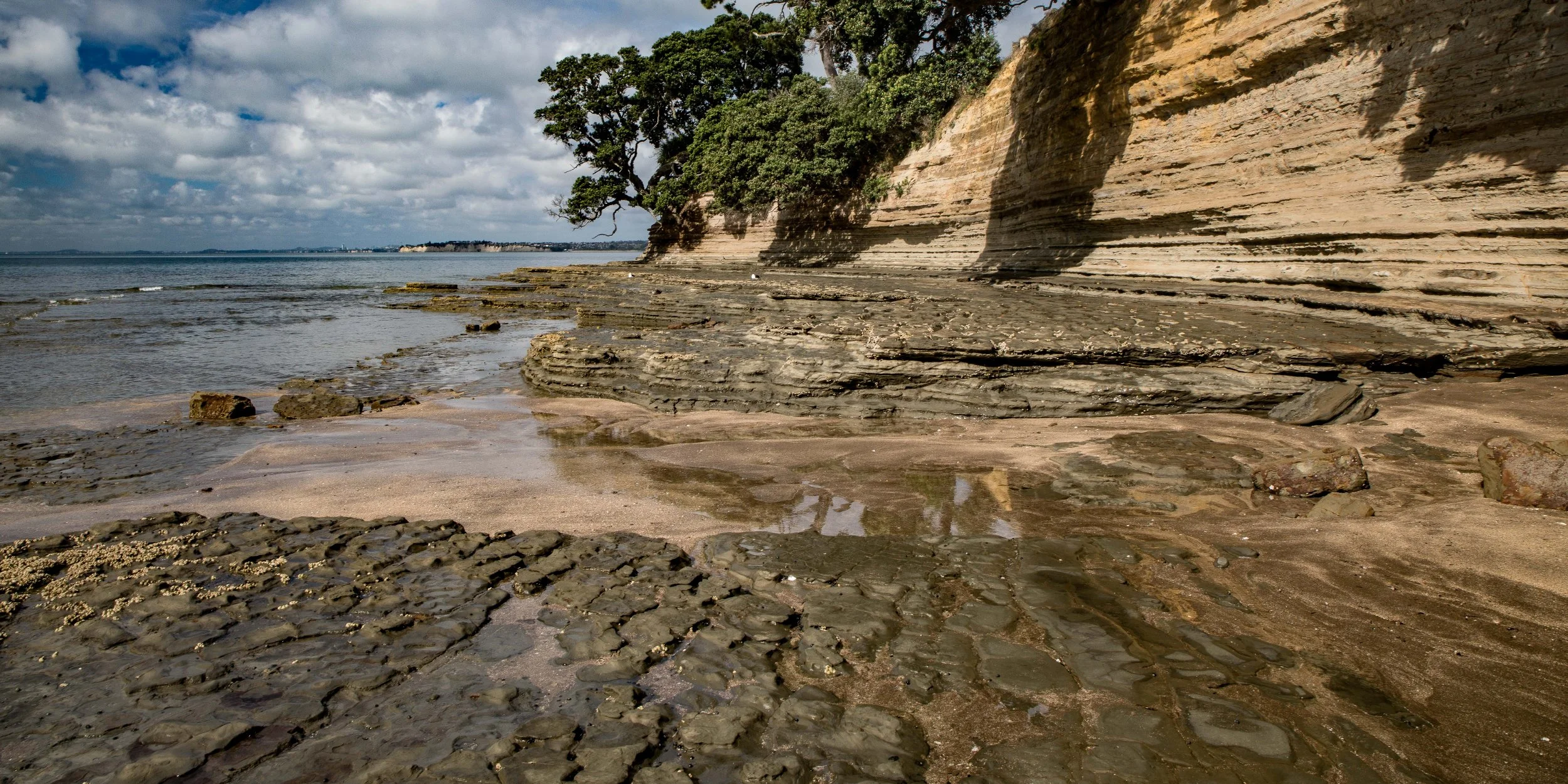 Little Manly Beach,-1189.JPG