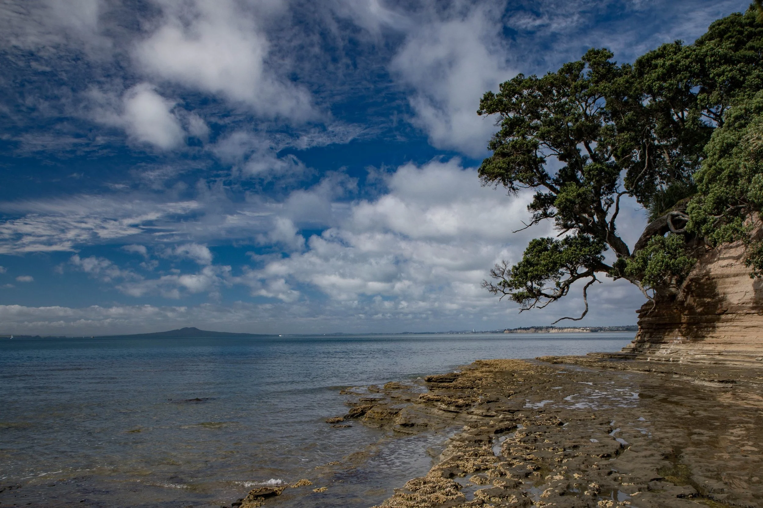 Little Manly Beach,-1191.JPG