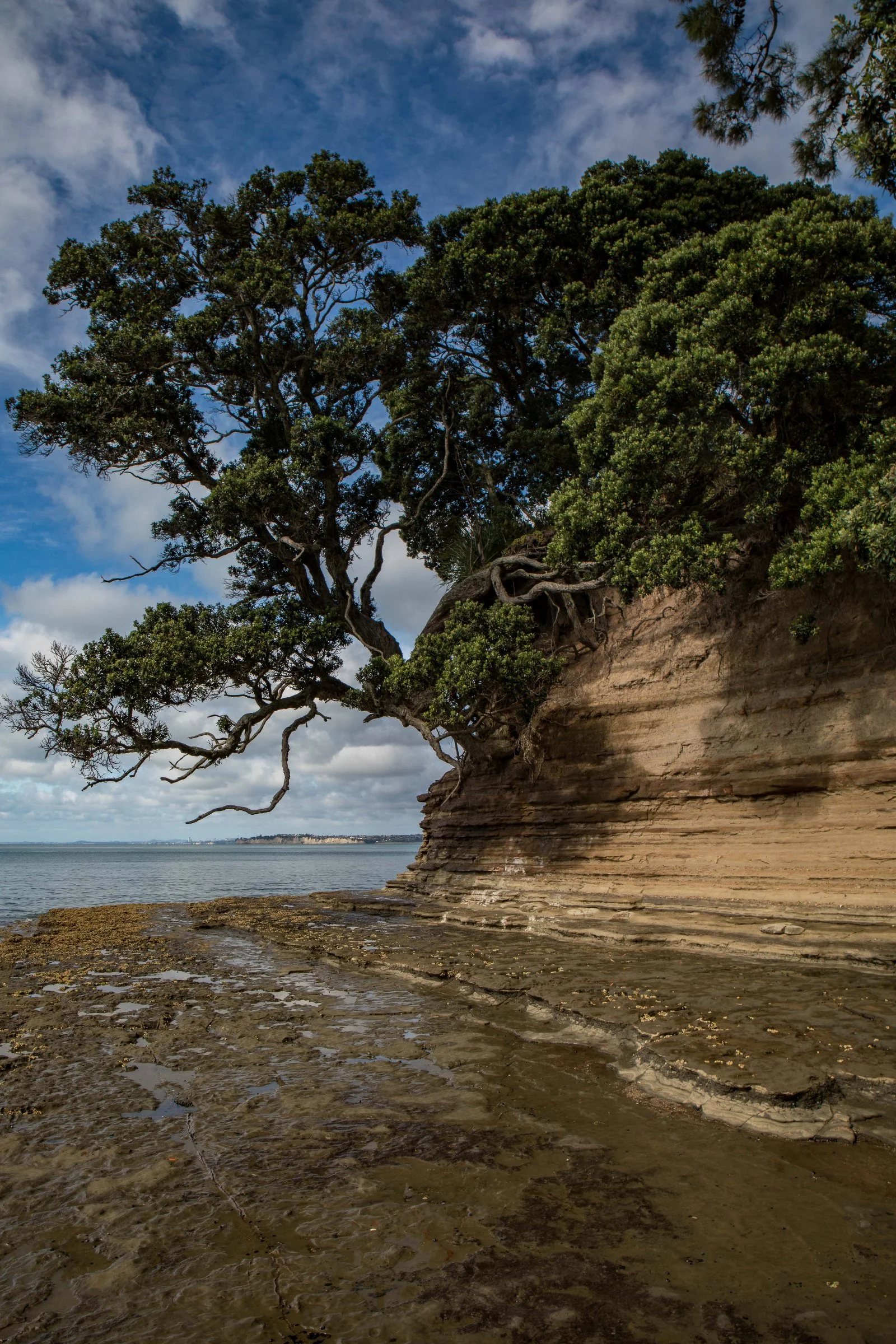 Little Manly Beach,-1193.JPG
