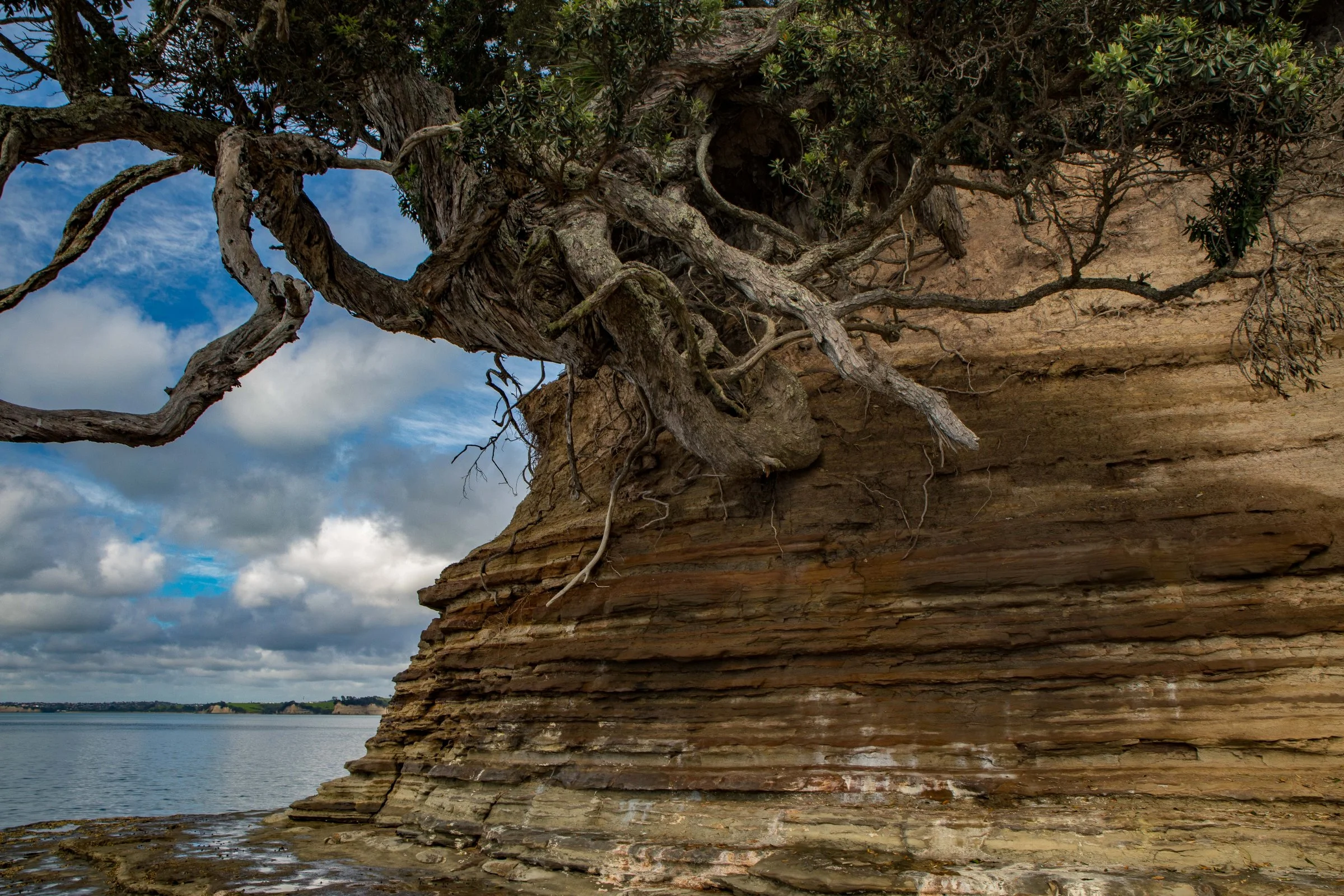 Little Manly Beach,-1195.JPG