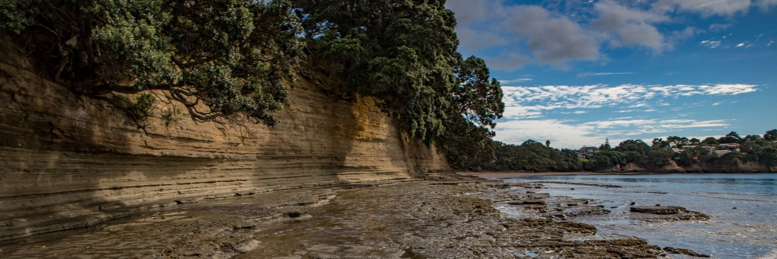 Little Manly Beach,-1204.JPG