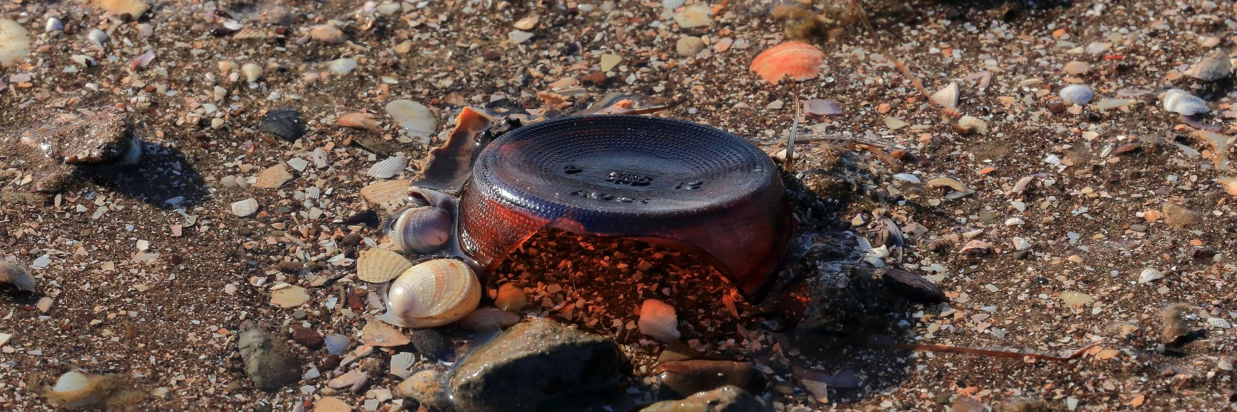 Broken Glass,-164.JPG